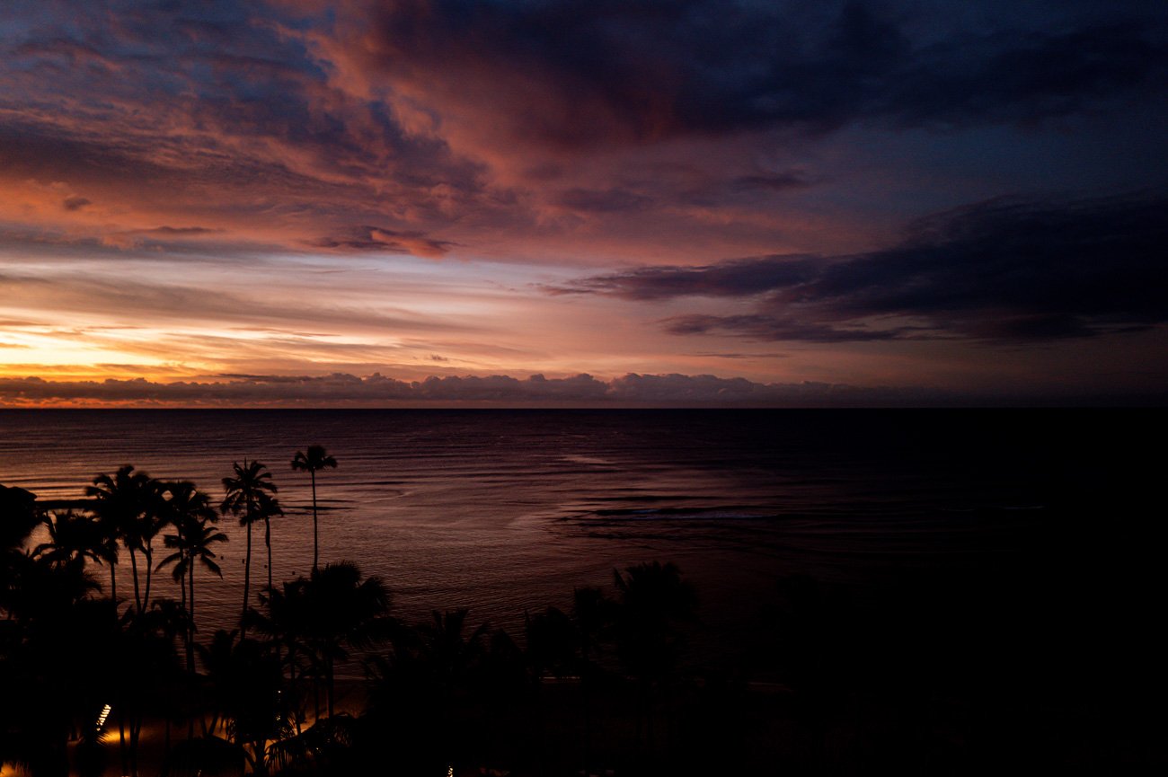 Sunset over the ocean with a colorful sky and silhouetted palm trees in the foreground.