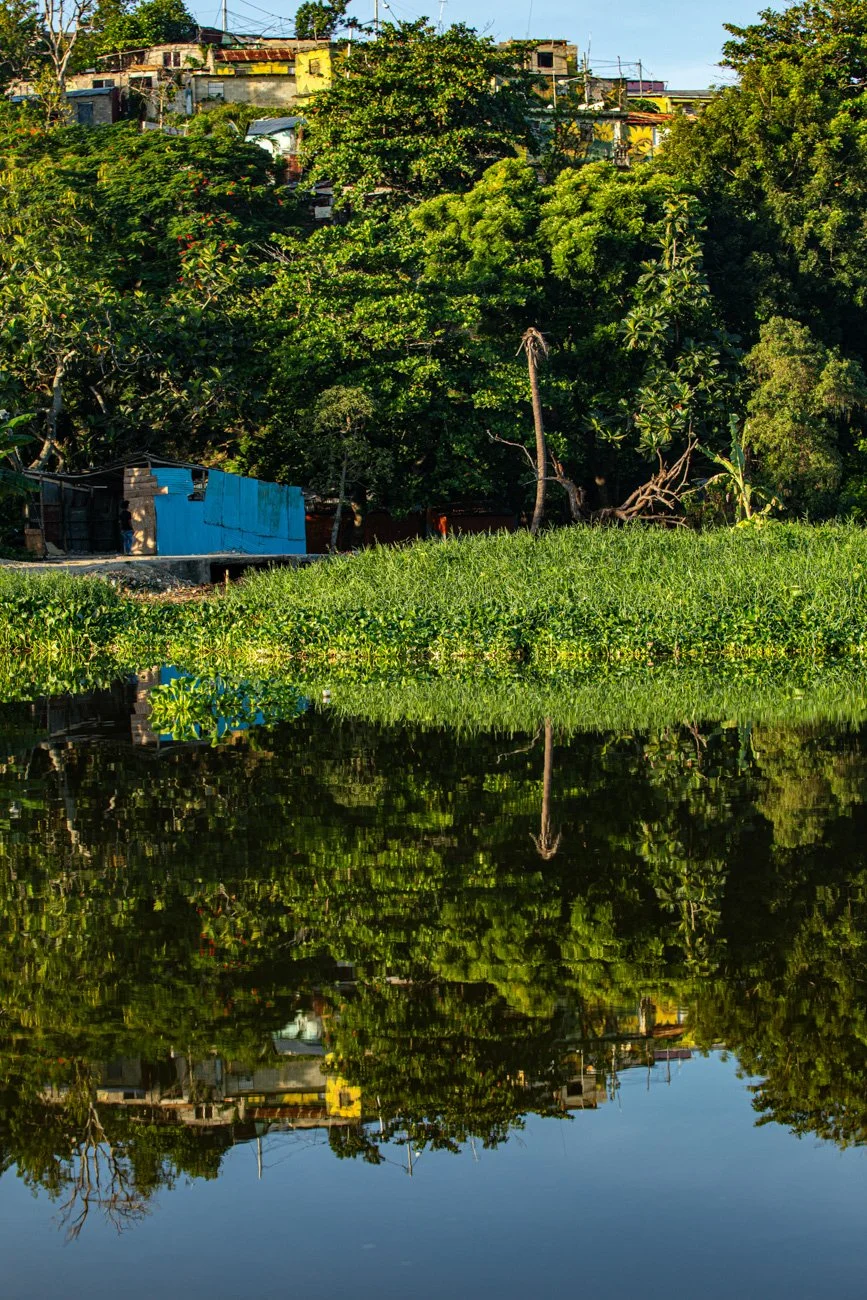 Lush green trees and plants along a water body with reflections, and houses on a hilltop in the background under a blue sky.