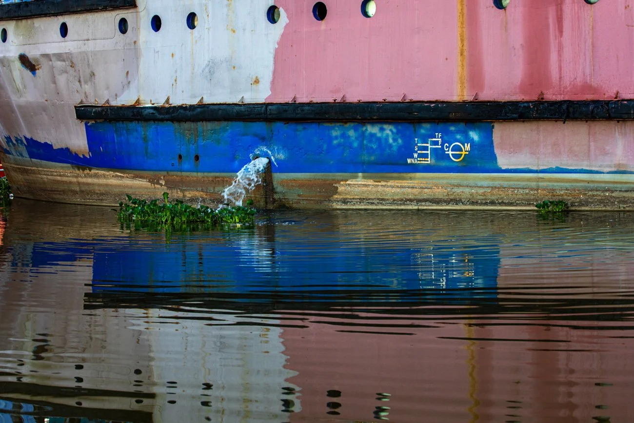 Close-up of a ship's hull showing a waterline, with some water leaking from an opening, and green aquatic plants floating near the hull in the water.