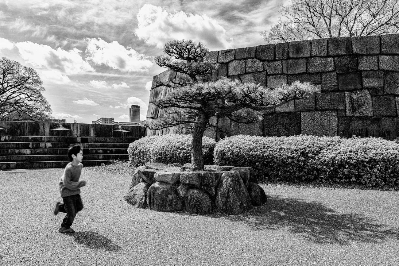 A boy running past a Japanese-style bonsai tree surrounded by rocks in a garden. The garden has a stone wall and bushes, with a partly cloudy sky and buildings visible in the background.