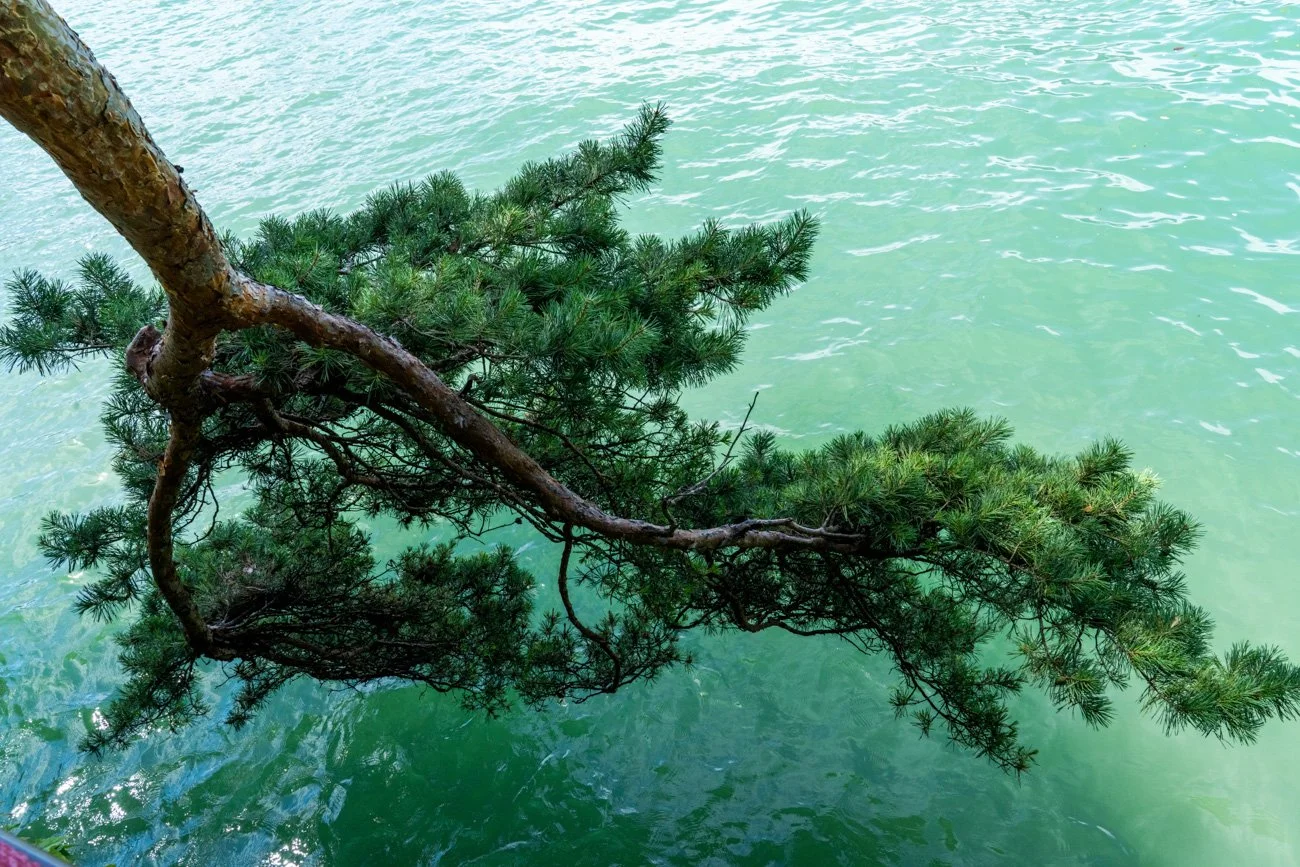 ITALIA, LOMBARDÍA, LAGO DE COMO 2024 Alta-81.jpg