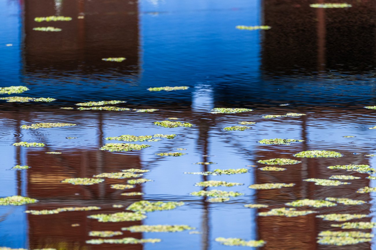 CUBA 2024 - ALTA-177.jpg