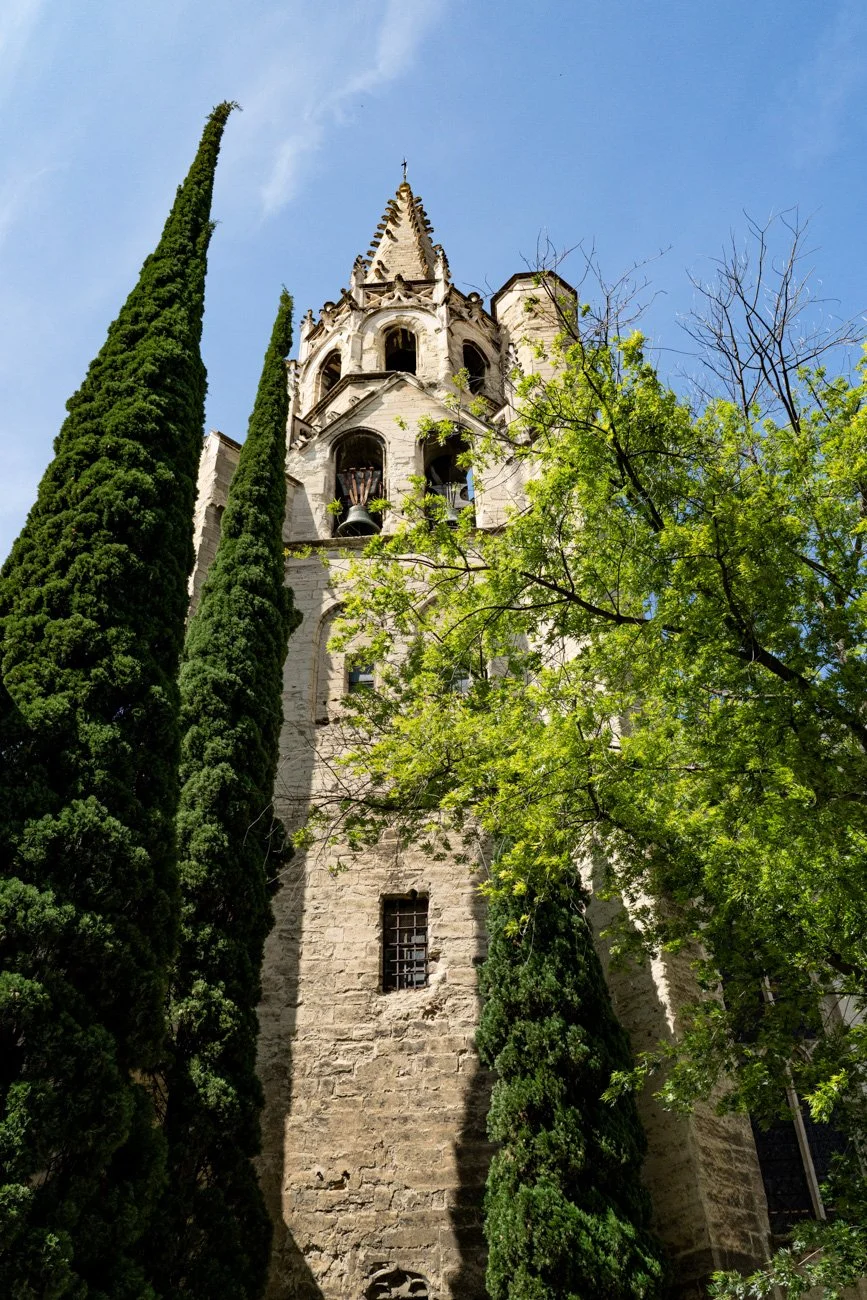 AMA SUR DE FRANCIA 2023 Alta-55.jpg