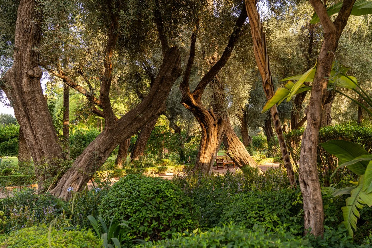 MARRUECOS 2024 - ALTA-45.jpg