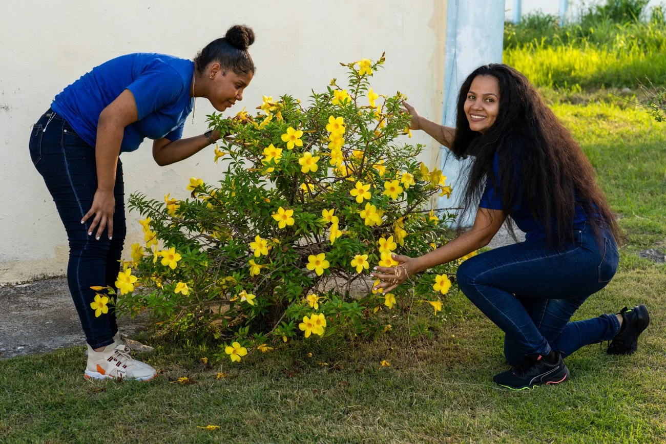 Two women in blue shirts kneeling and bending over a yellow flowering plant outdoors during daytime.