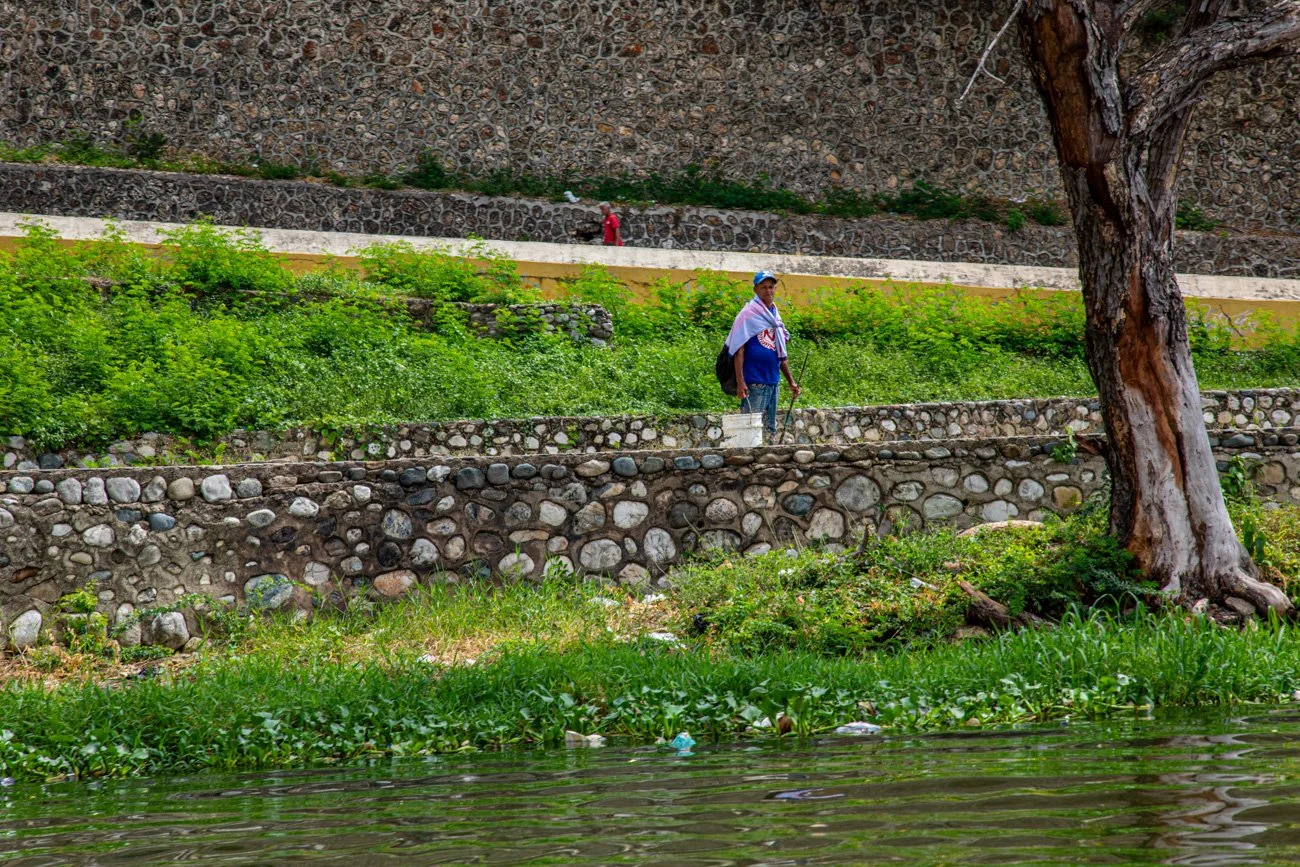 A man fishing along a riverbank with green vegetation, a large tree, and stone terraces in the background.