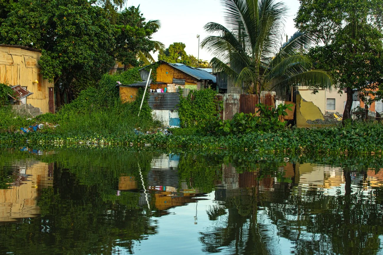 Houses and trees along a waterway with reflections, some buildings appear dilapidated, and there are lush green plants and palm trees.