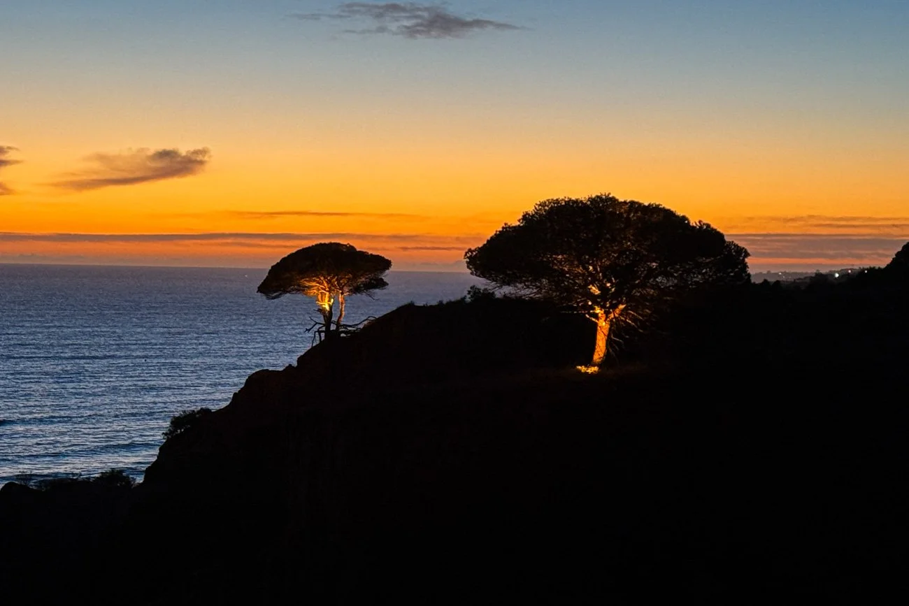 ALGARVE - PORTUGAL 2025 - ALTA-69.jpg