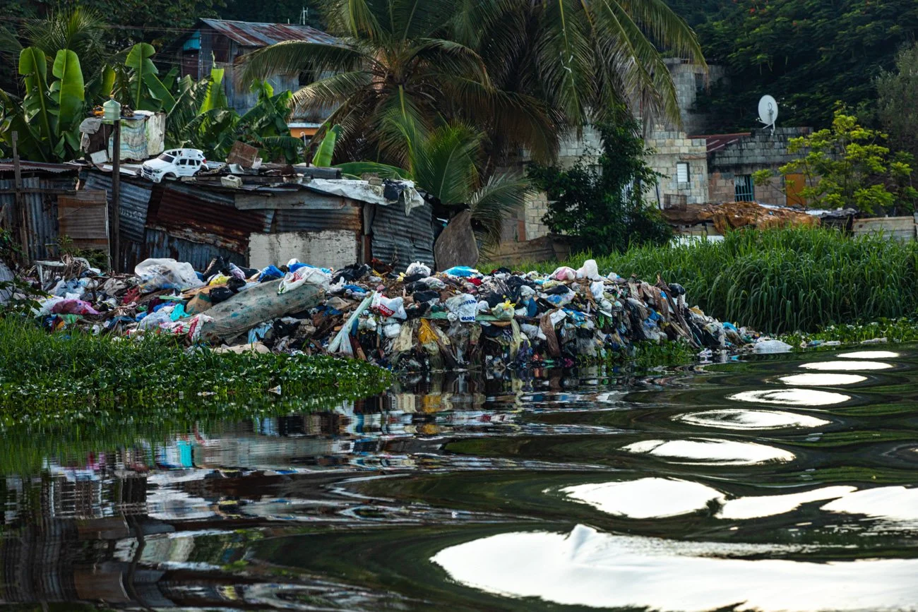 A scene of urban pollution with a large pile of garbage on the shore next to a waterway, surrounded by green vegetation, small buildings, and palm trees.