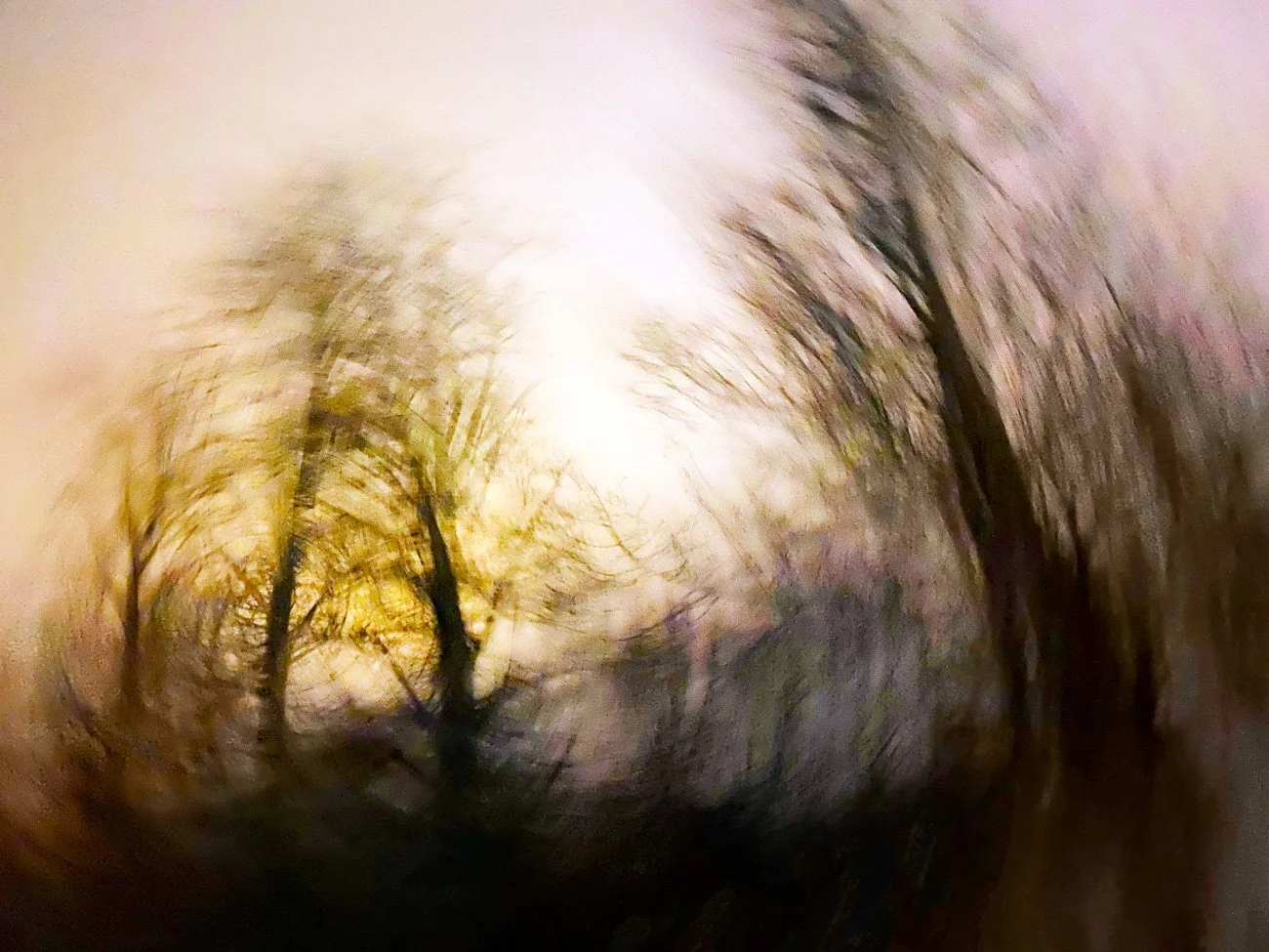 Blurred, dark tunnel with trees and light at the end.