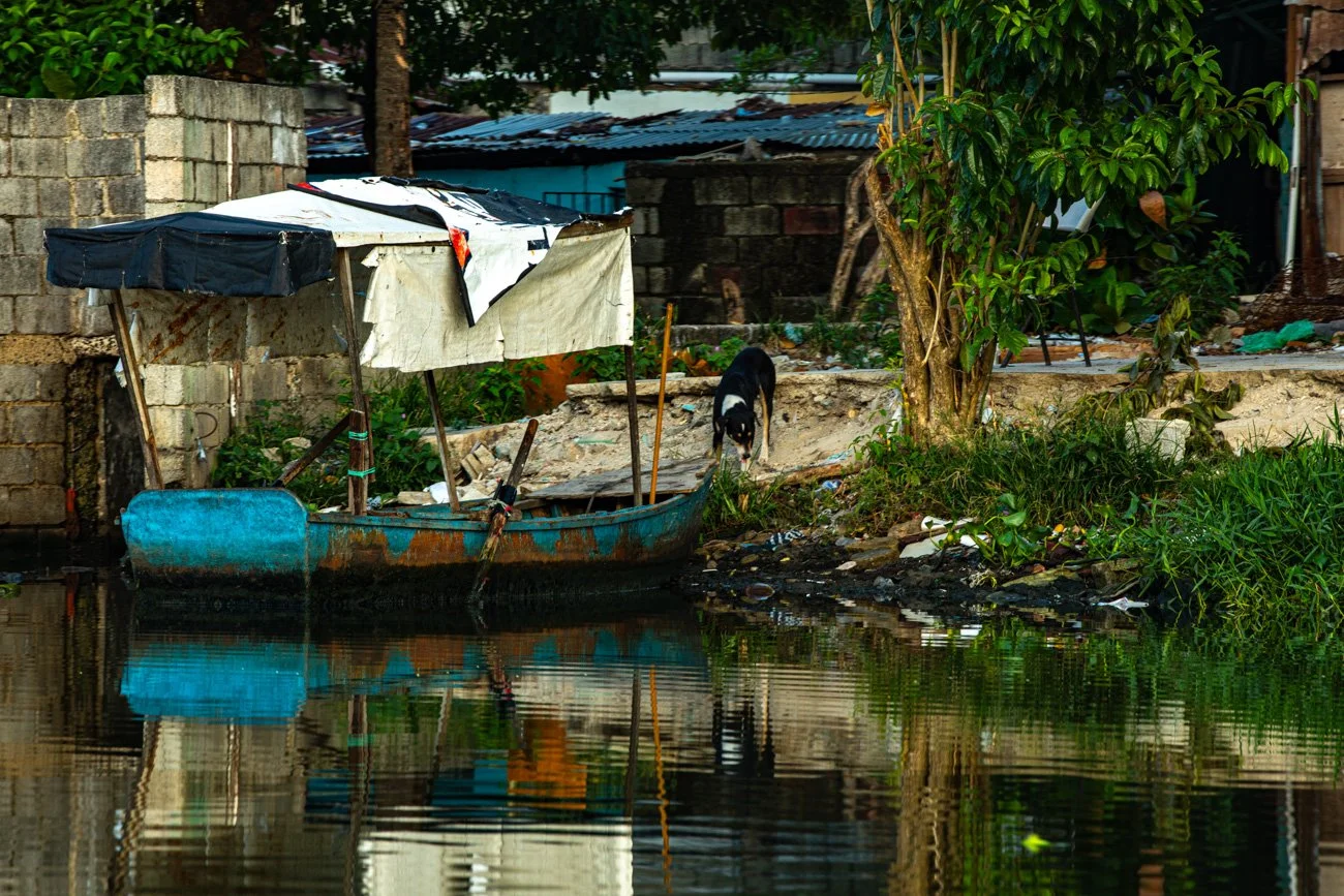 A small, weathered blue boat with a canopy docked along the shore in a rural area. A black and white dog is walking near the water's edge, surrounded by greenery and scattered debris. There are houses and trees in the background.