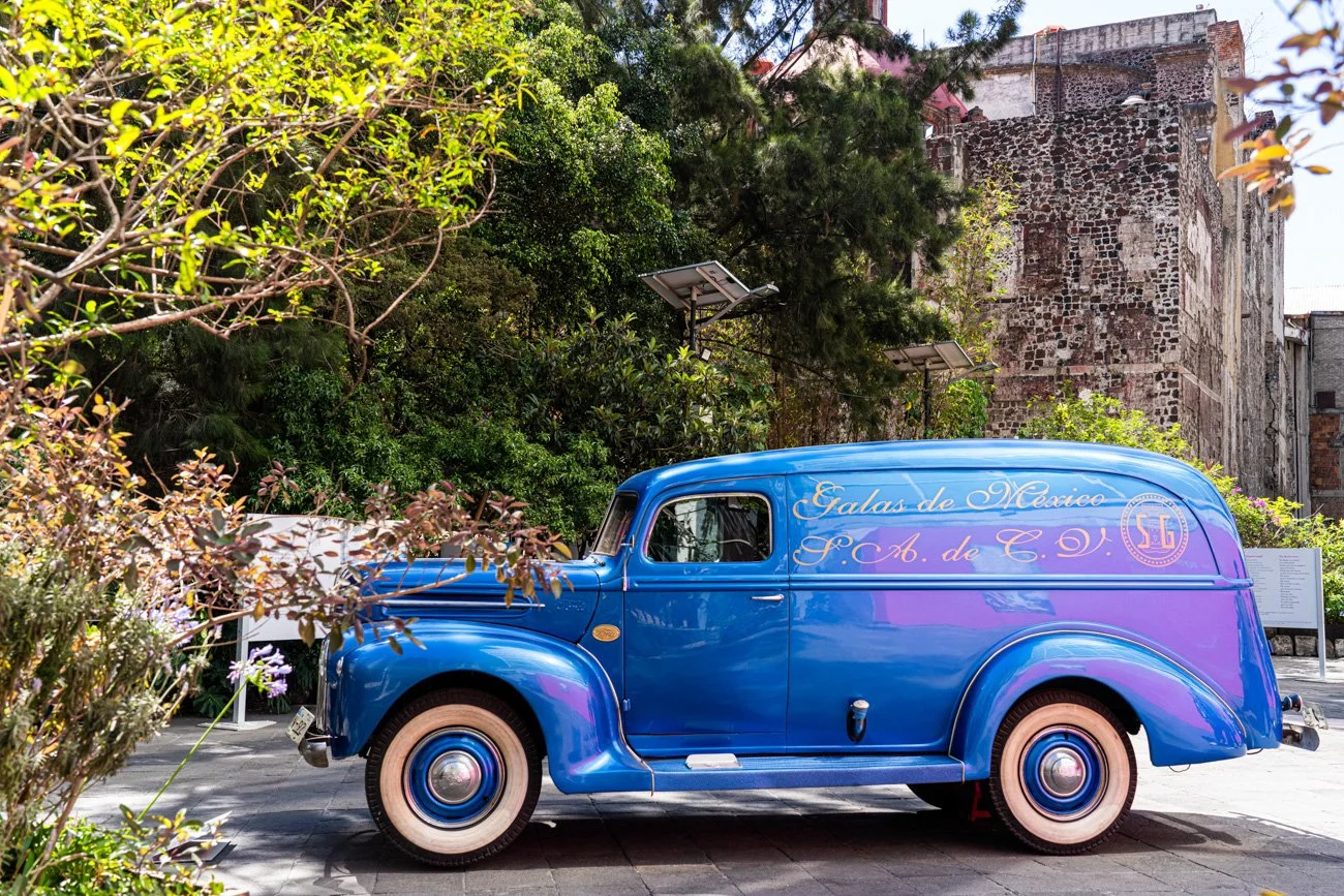 MEXICO 2024 - ALTA-126.jpg