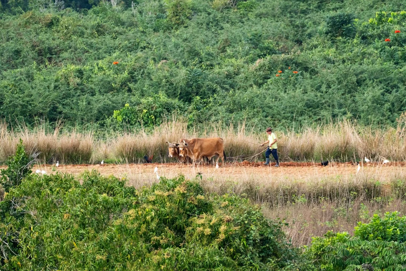 CUBA 2024 - ALTA-91.jpg