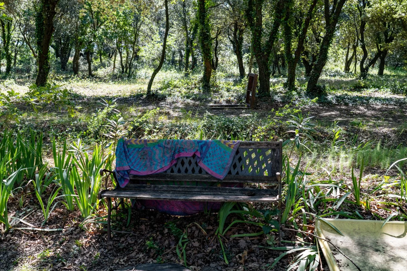 AMA SUR DE FRANCIA 2023 Alta-66.jpg