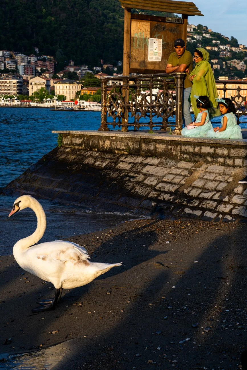 ITALIA, LOMBARDÍA, LAGO DE COMO 2024 Alta-38.jpg