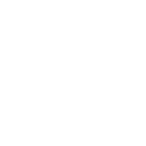 icon of preventing infections