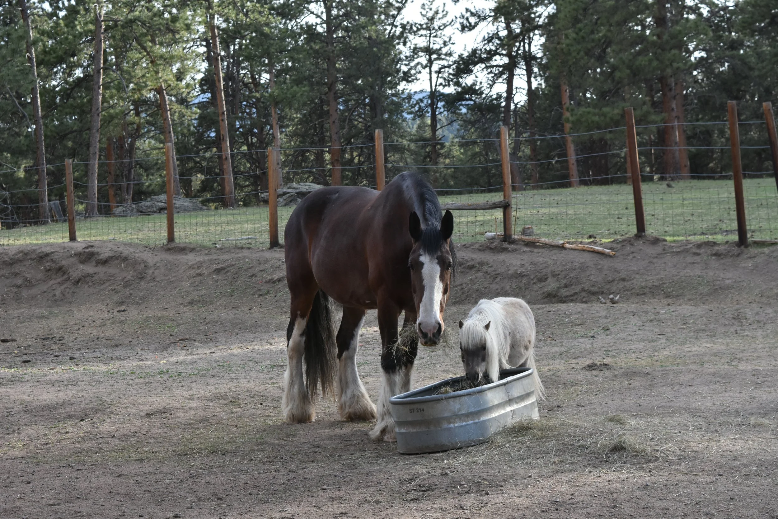 DSC_6864.JPG