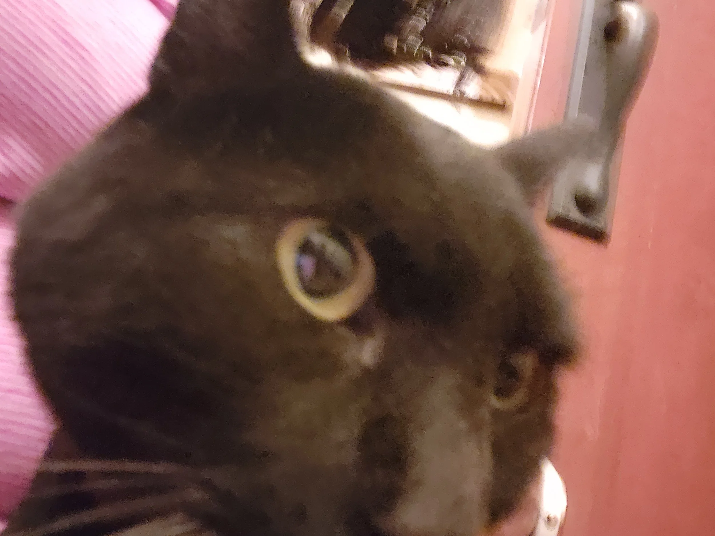 20230621_221750.jpg