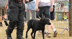 Black dog on a leash at an outdoor event, with people and metal fencing in the background.