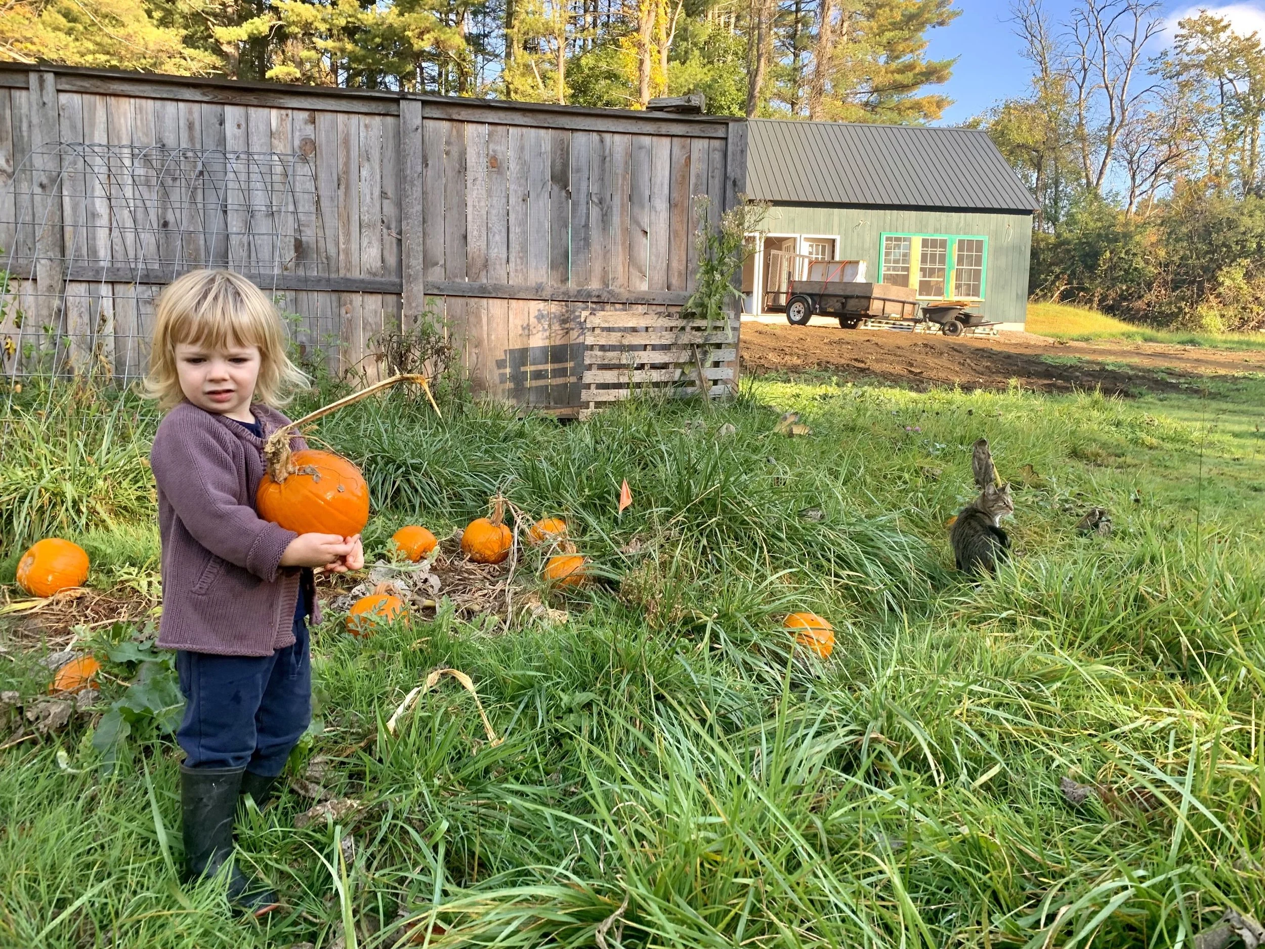 Week 19: Photo Update