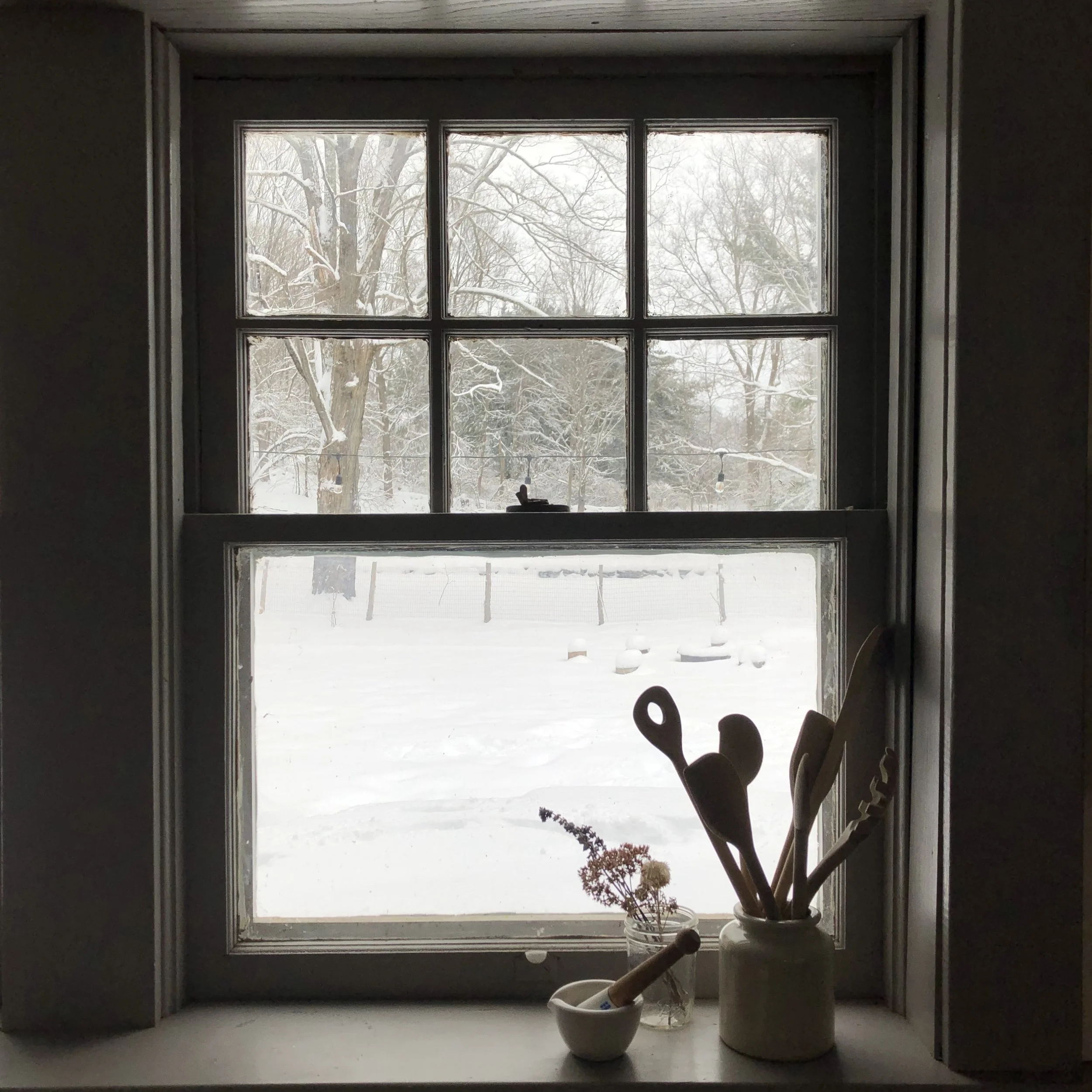 Wooden Windows