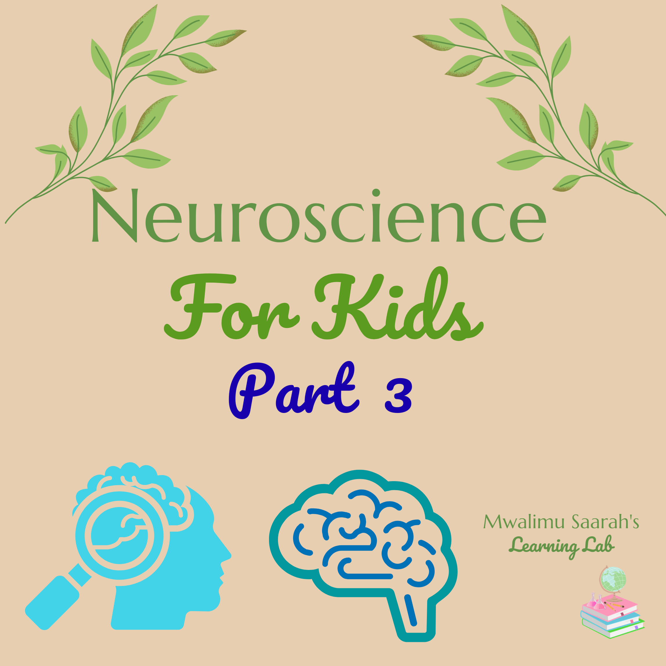 Neuroscience for Young Scholars, Part 3