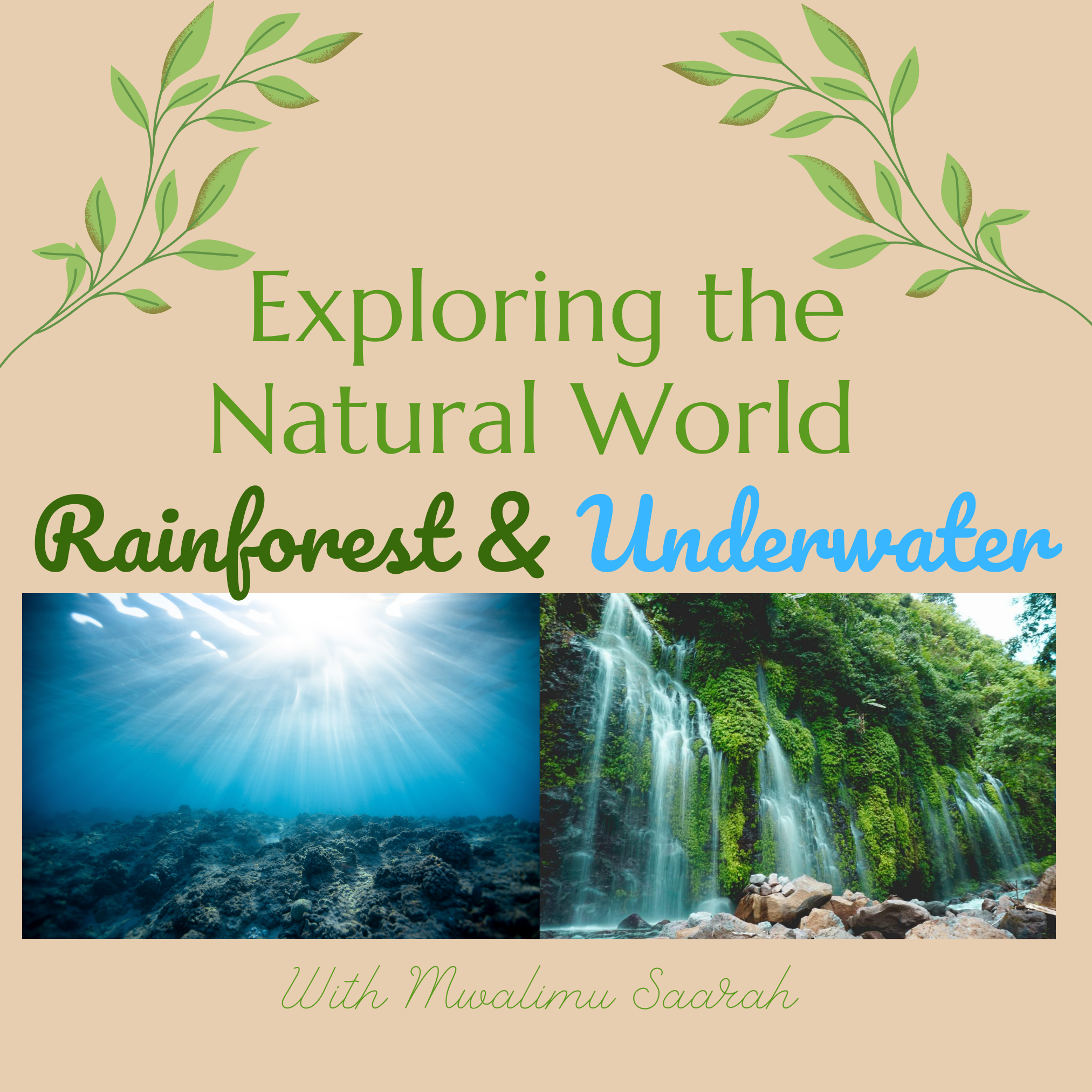 Exploring the Natural World: Rainforest + Underwater 360 Adventure