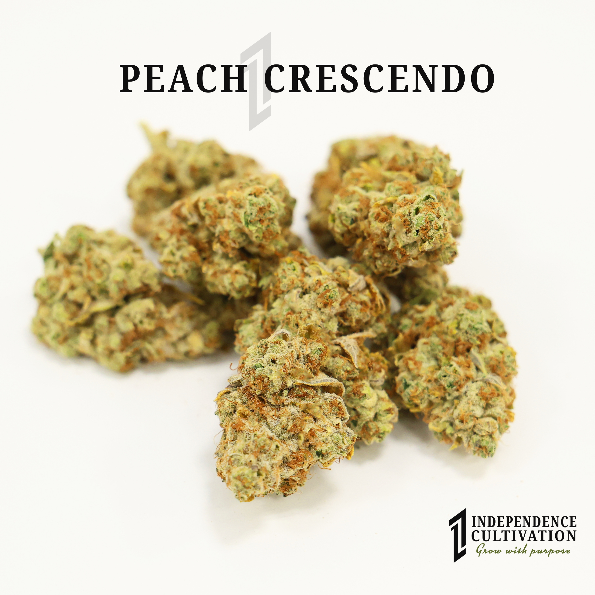Close-up of cannabis buds with text 'Peach Crescendo' and 'Independence Cultivation Grow with Purpose'.