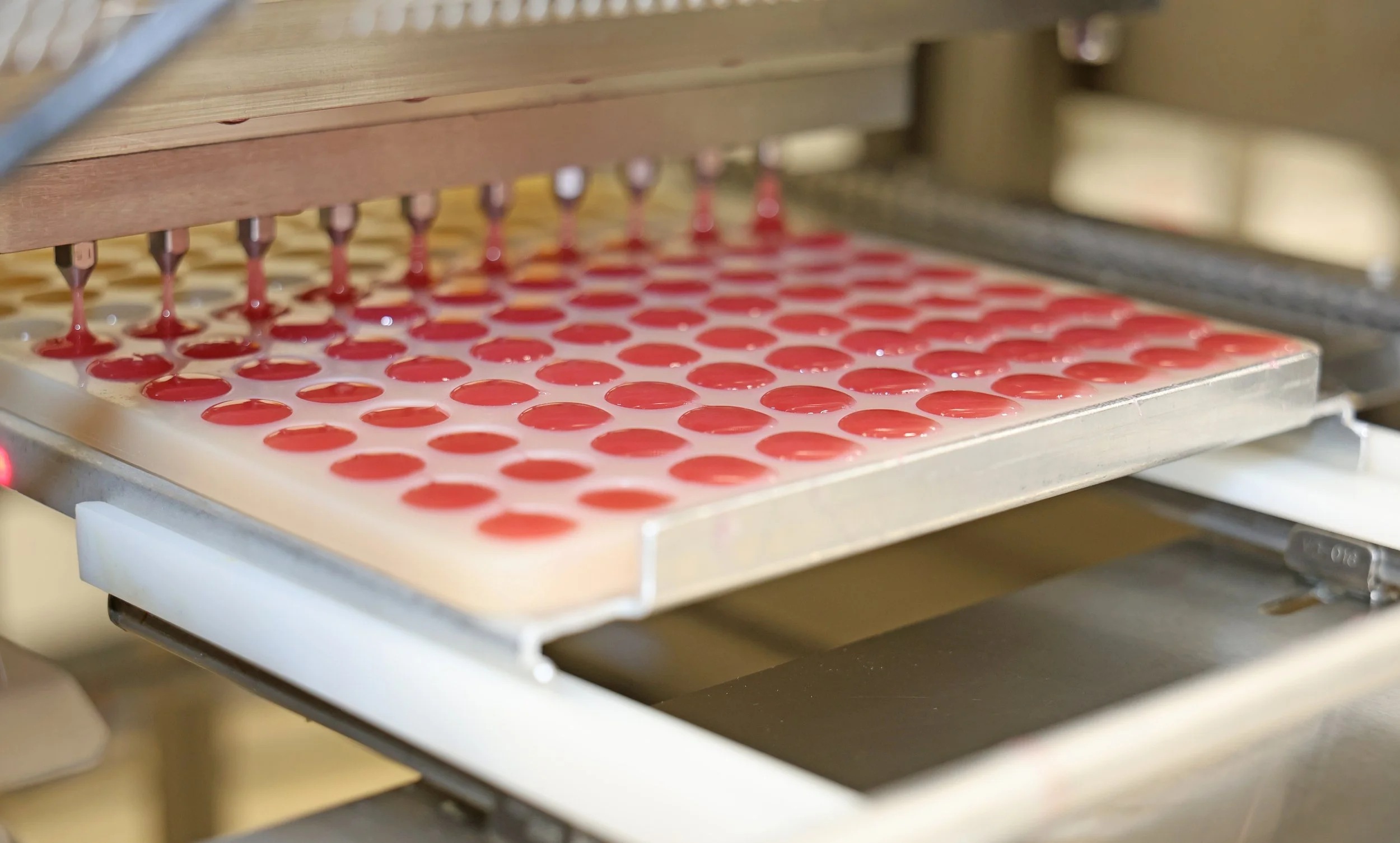 Red liquid drops being deposited into a tray of round molds, part of a confectionery production process.