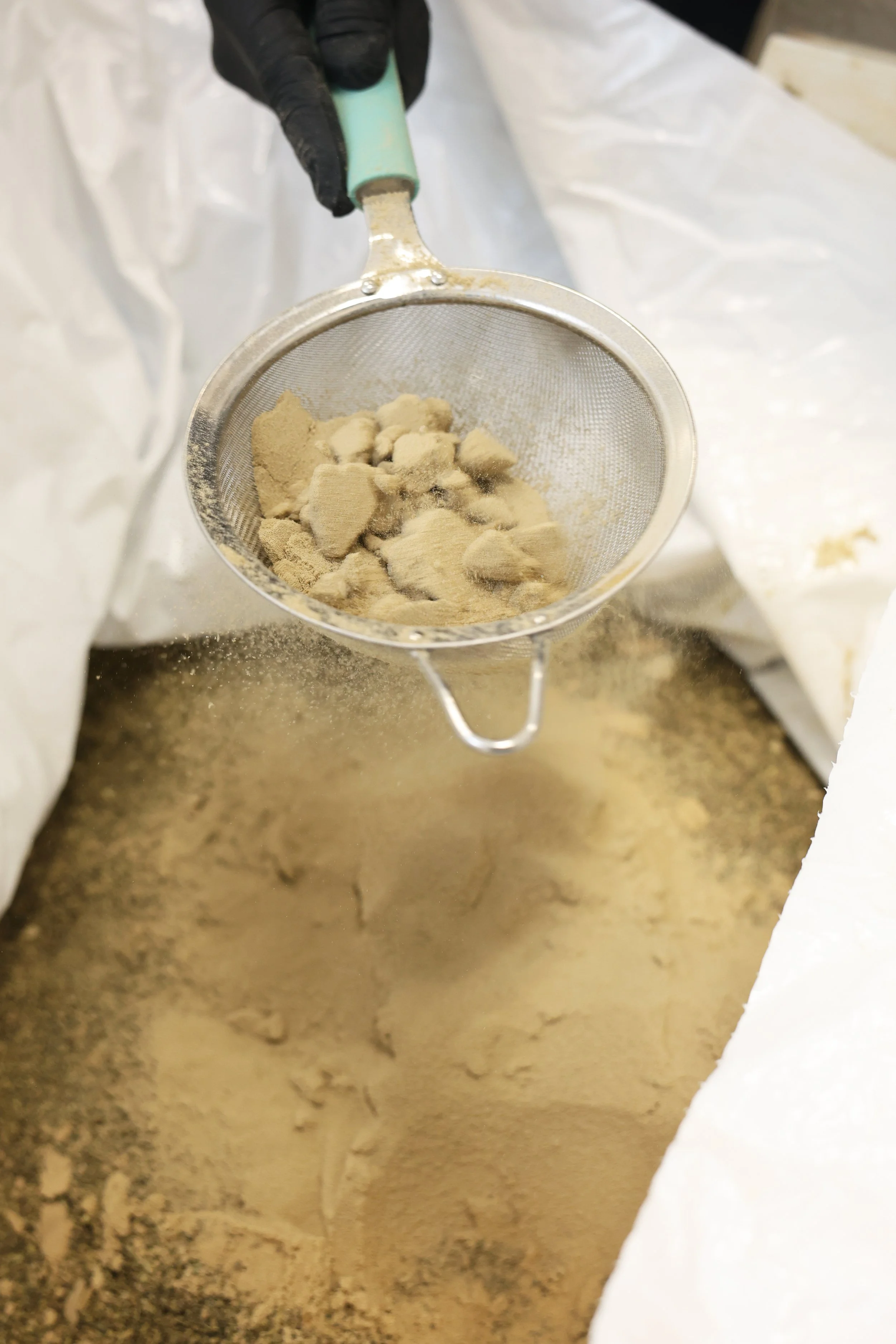 A person wearing black gloves sifts beige powder through a metal fine-mesh sieve into a large container with a white plastic sheet or bag in the background.
