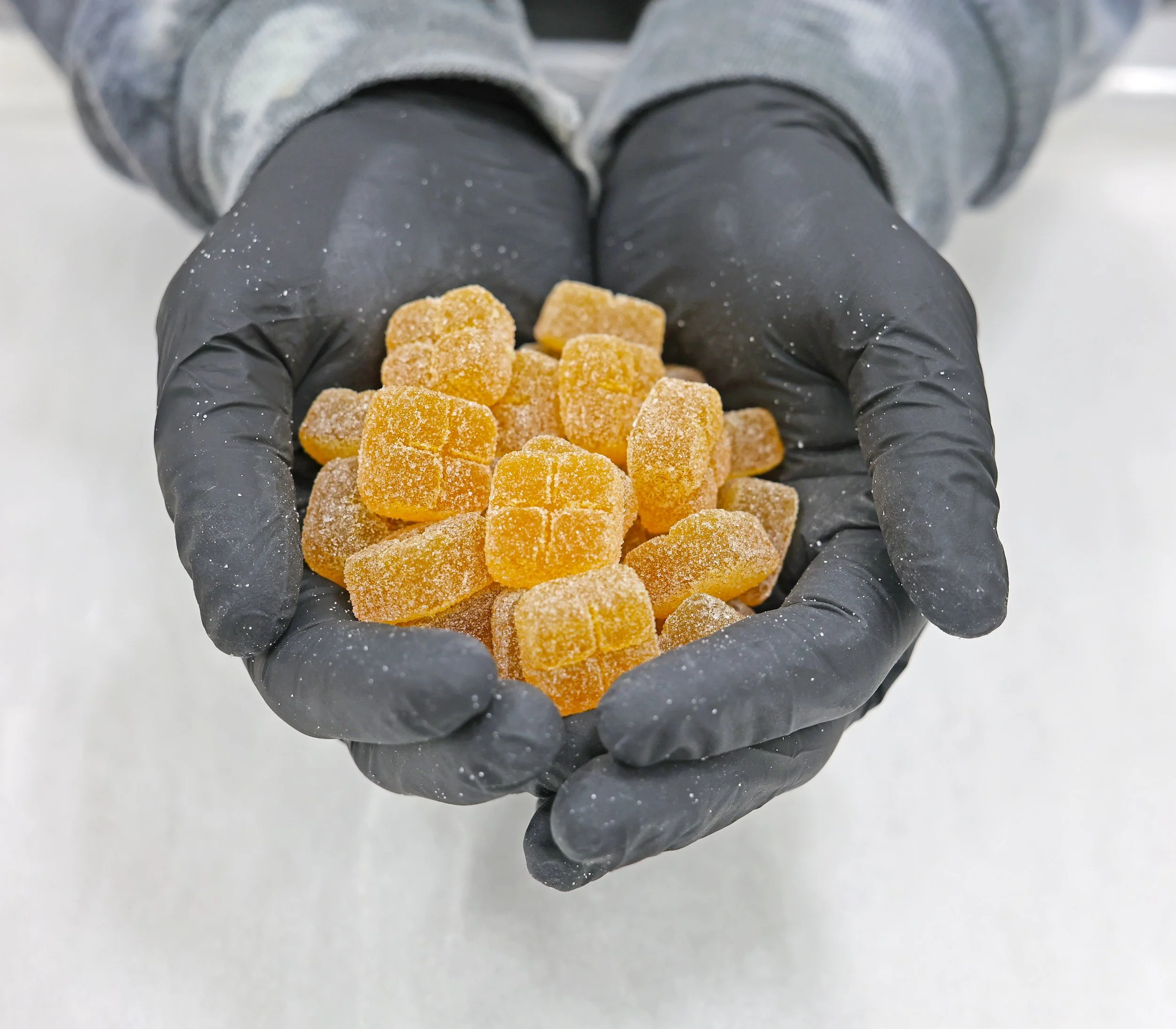 A person wearing black gloves and grey clothing holding a handful of orange gummy candies coated with sugar.