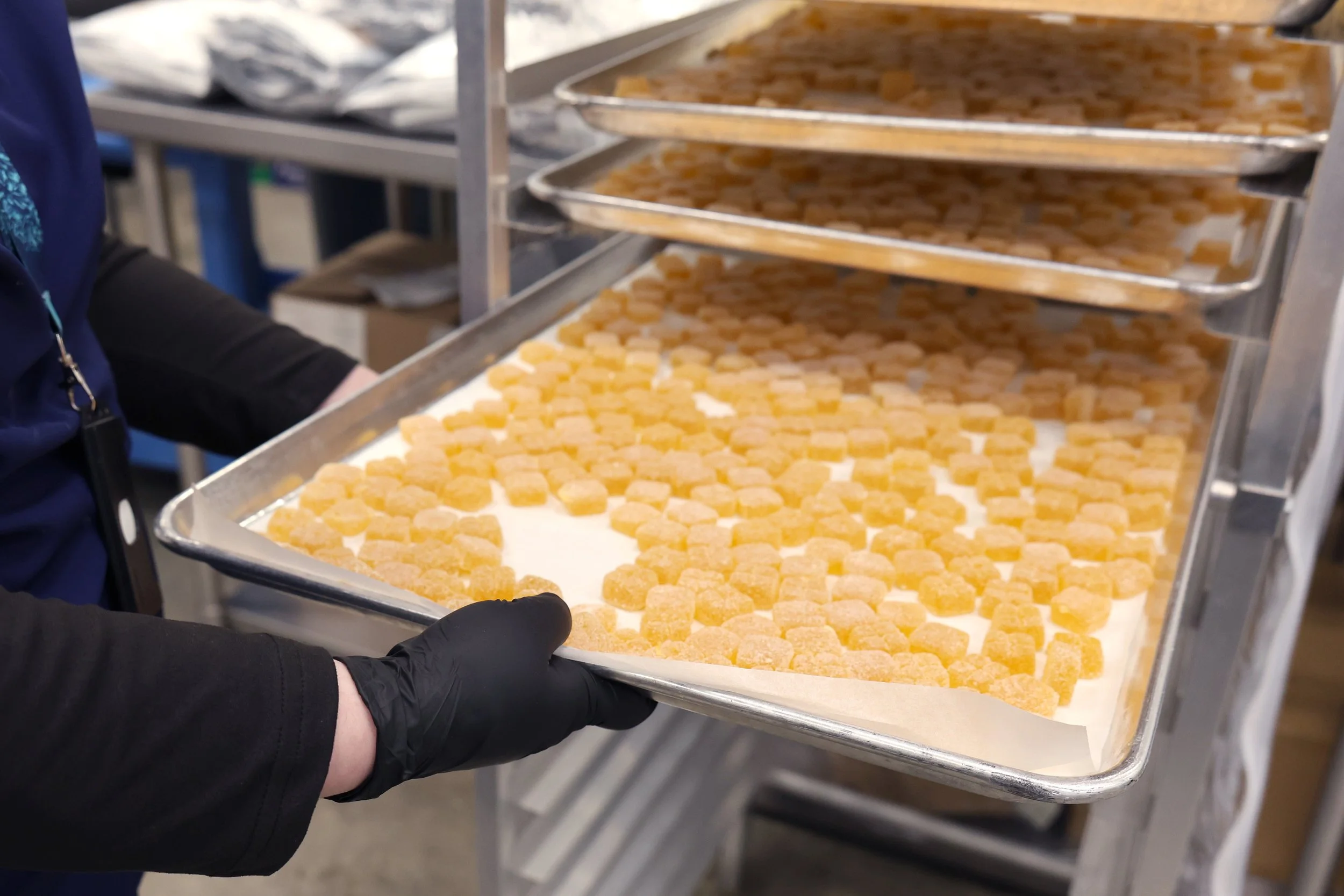 Worker wearing black gloves handling a large tray of cubed yellow cheese blocks in an industrial setting.