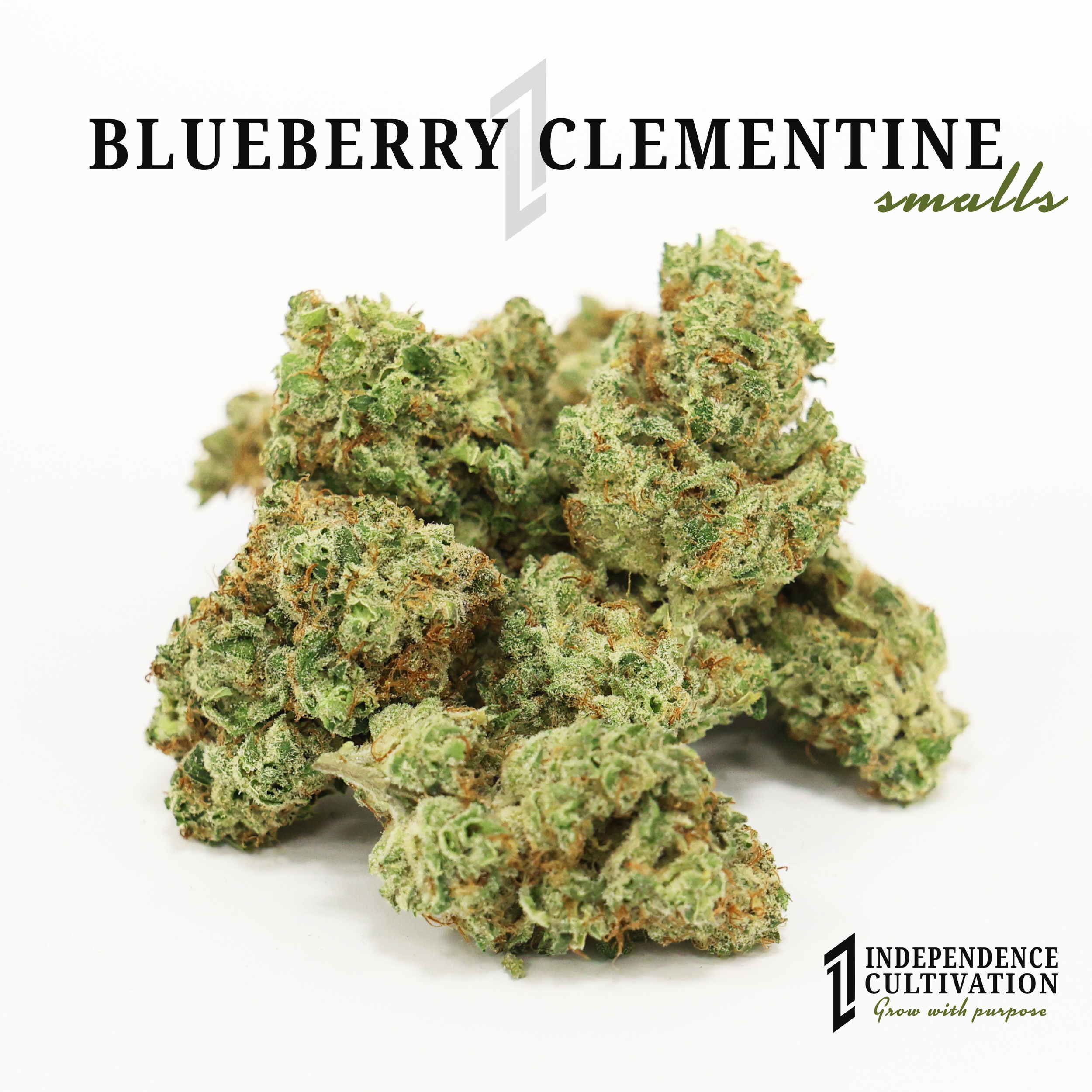 Close-up of small blueberry clementine cannabis buds on a white background, with text "Blueberry Clementine smalls" and a logo for Independence Cultivation.