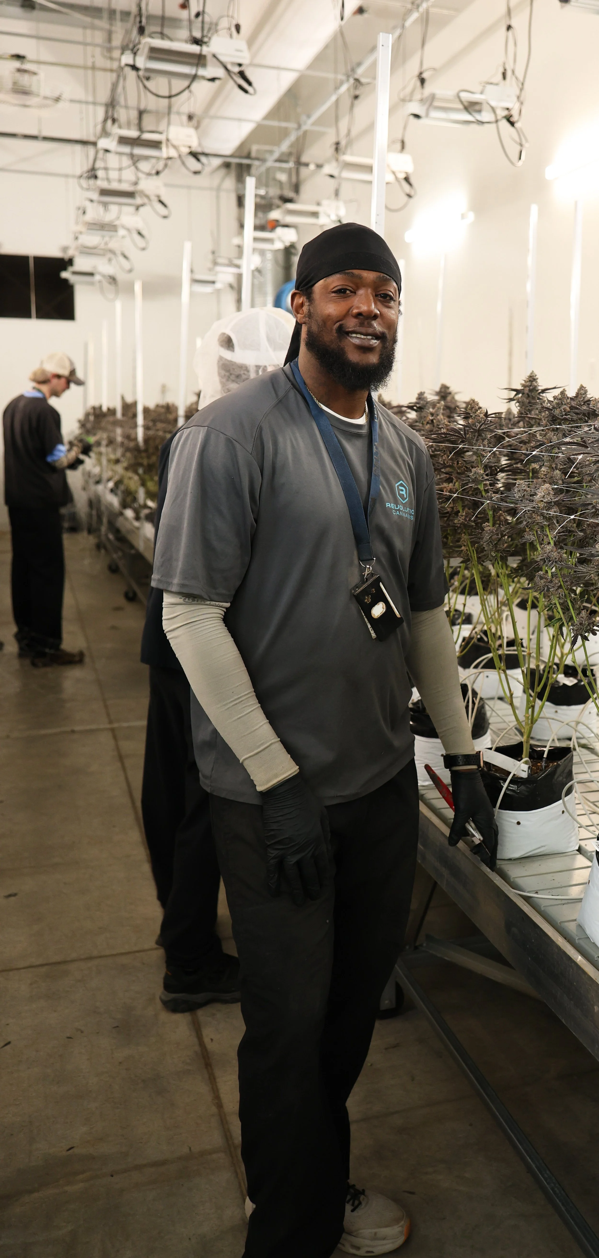 A smiling man dressed in black gloves, a gray t-shirt, and a black head covering standing in a cannabis cultivation facility with plants and another worker in the background.