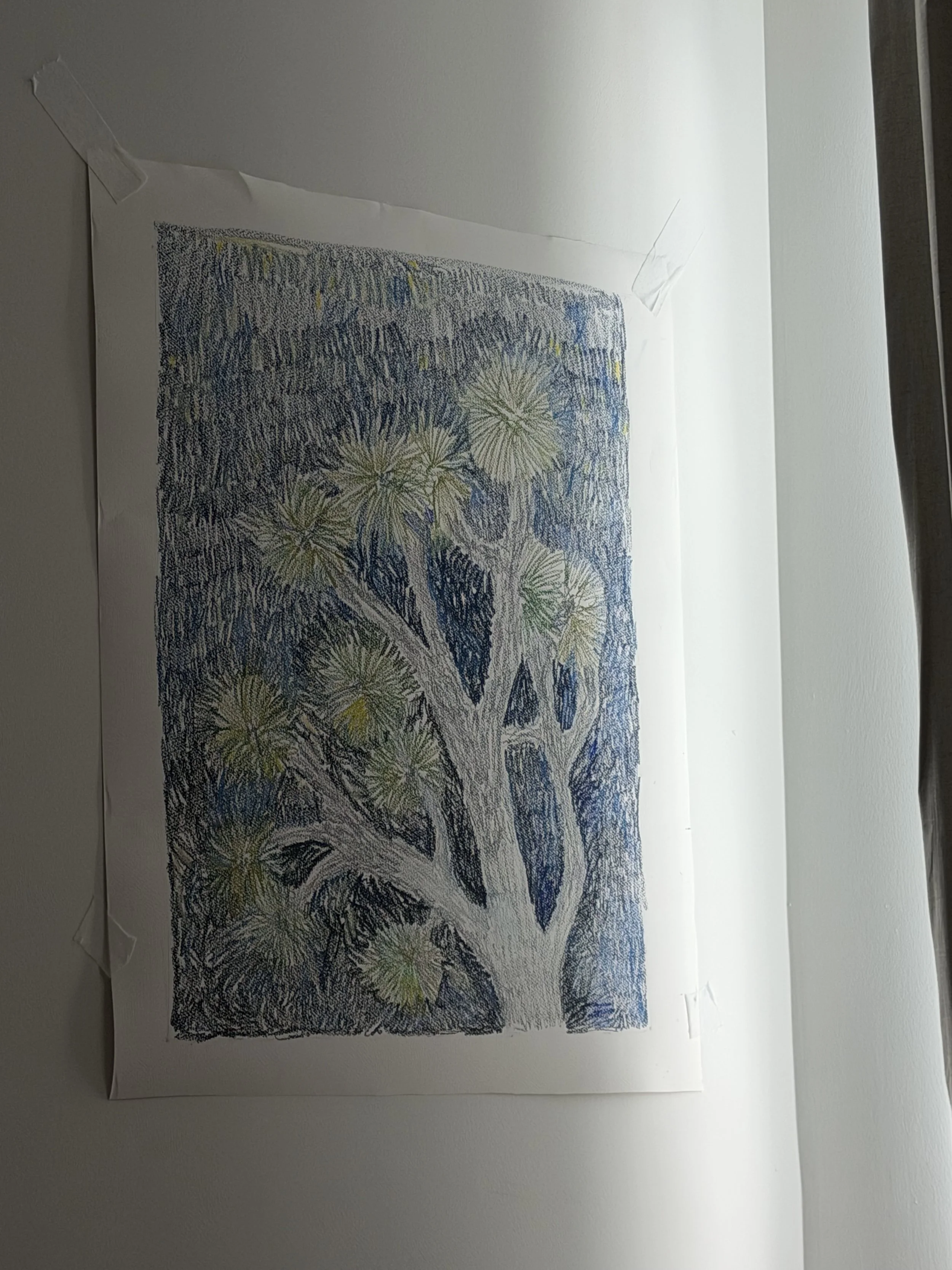 IMG_7195.jpeg