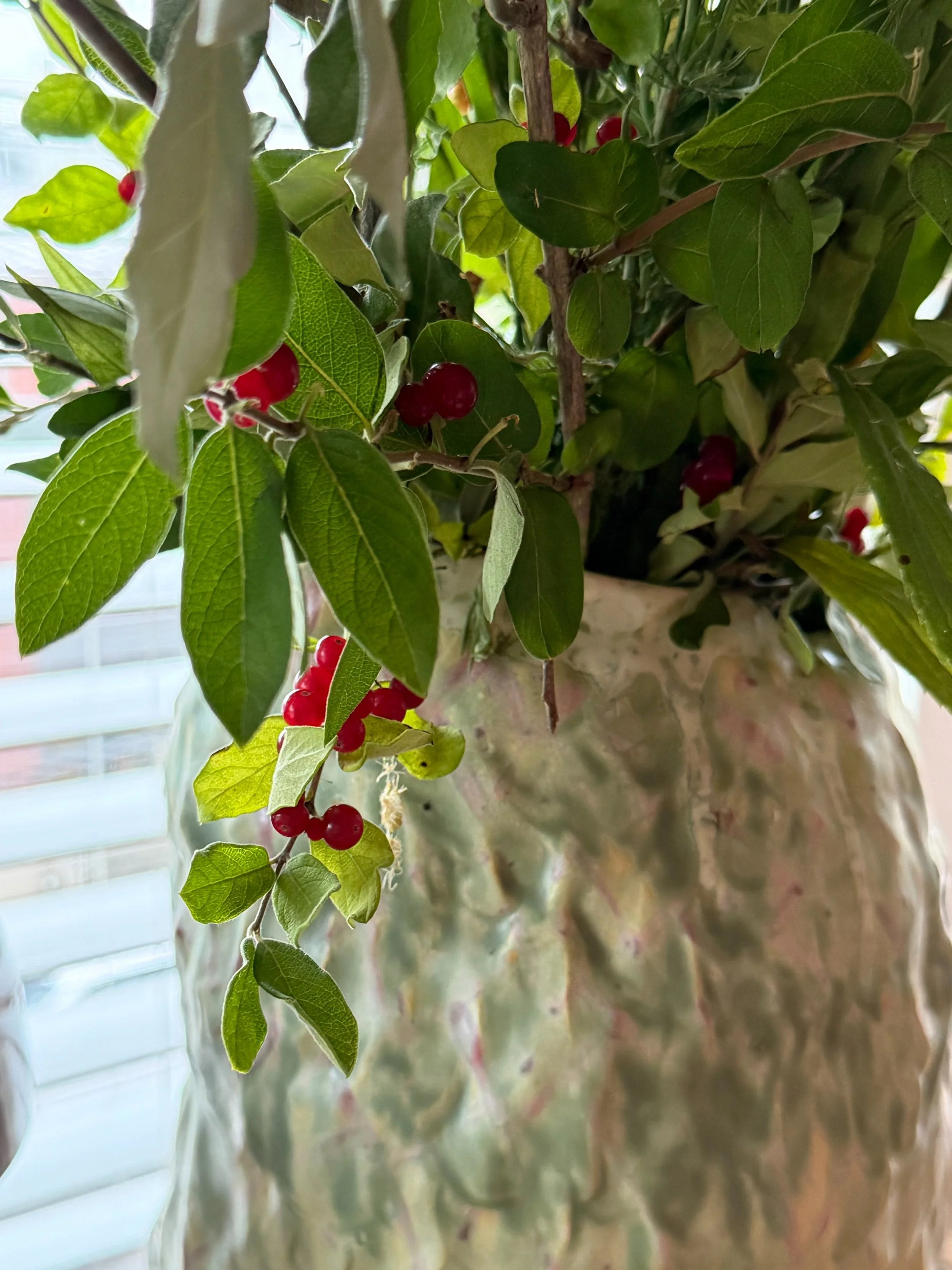 Handmade ceramic vase by Yana holding honeysuckle branches with red berries in window light