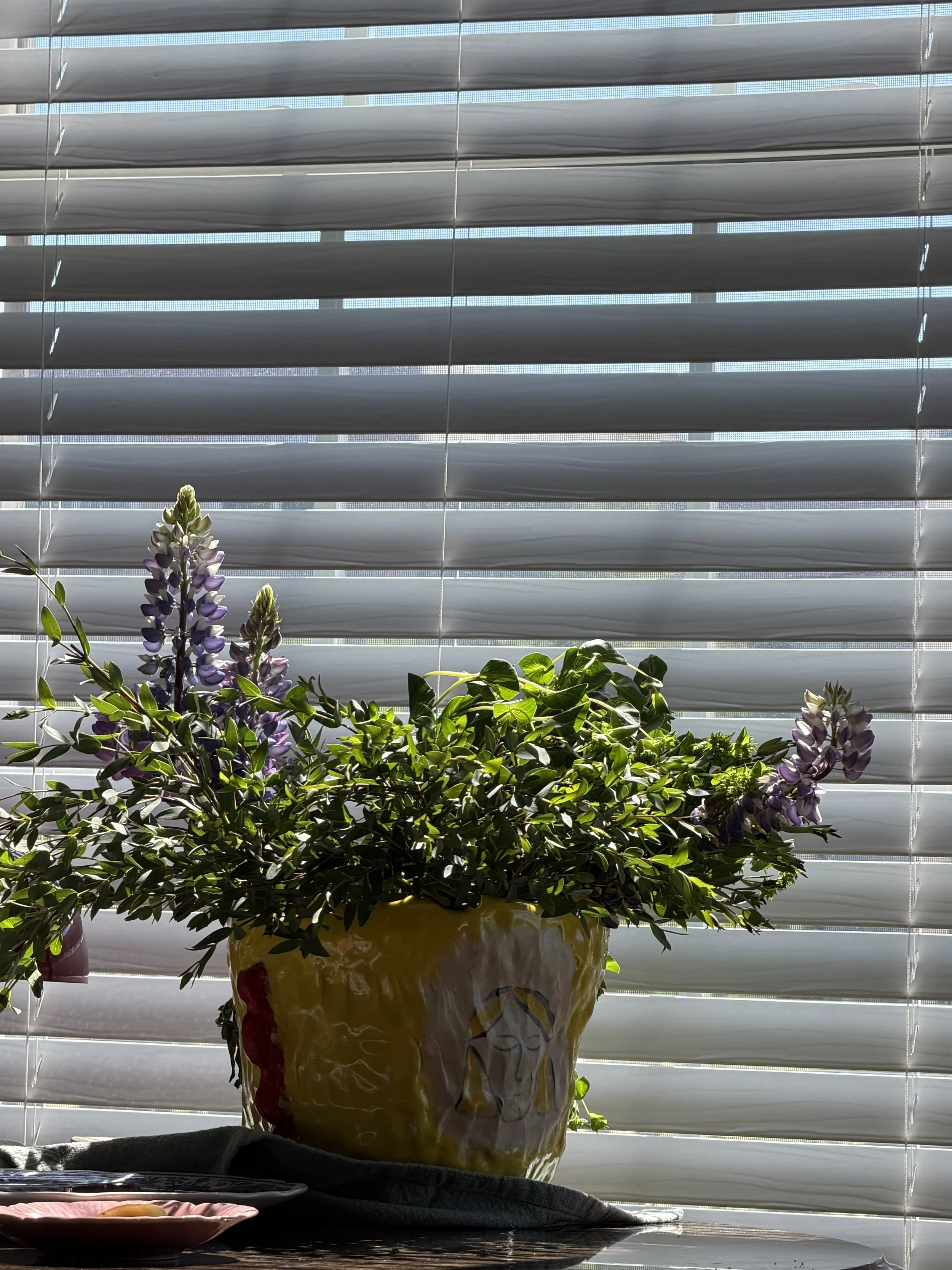 IMG_9065.jpeg
