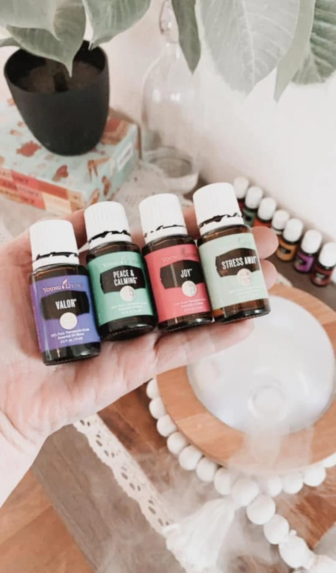 Happy Hormones - February 3rd