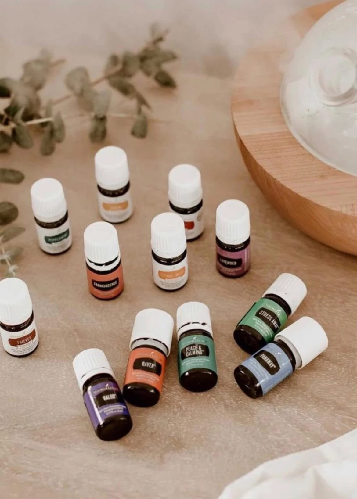 DETOX YOUR HOME: a hands on DIY workshop - February 17th