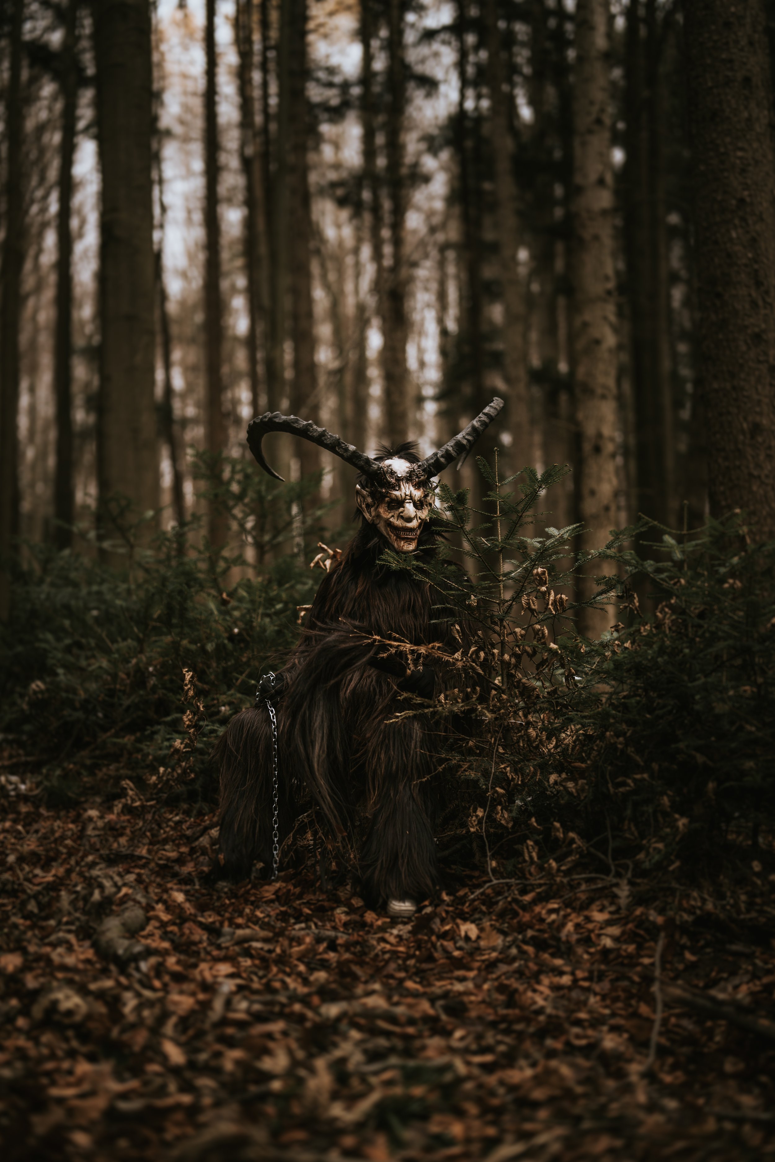 Perchtenverein Niederösterreich