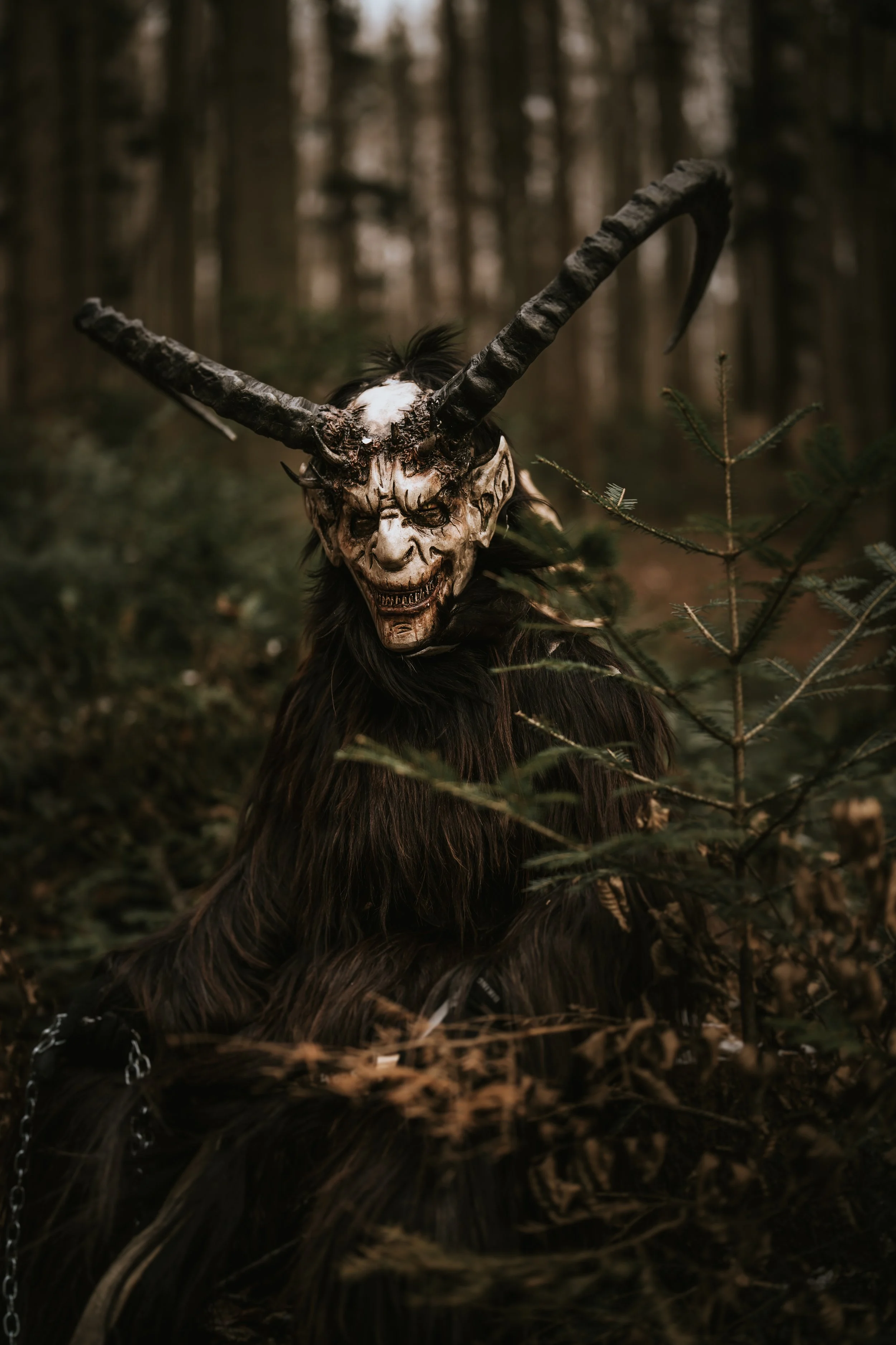 Perchtenverein Niederösterreich