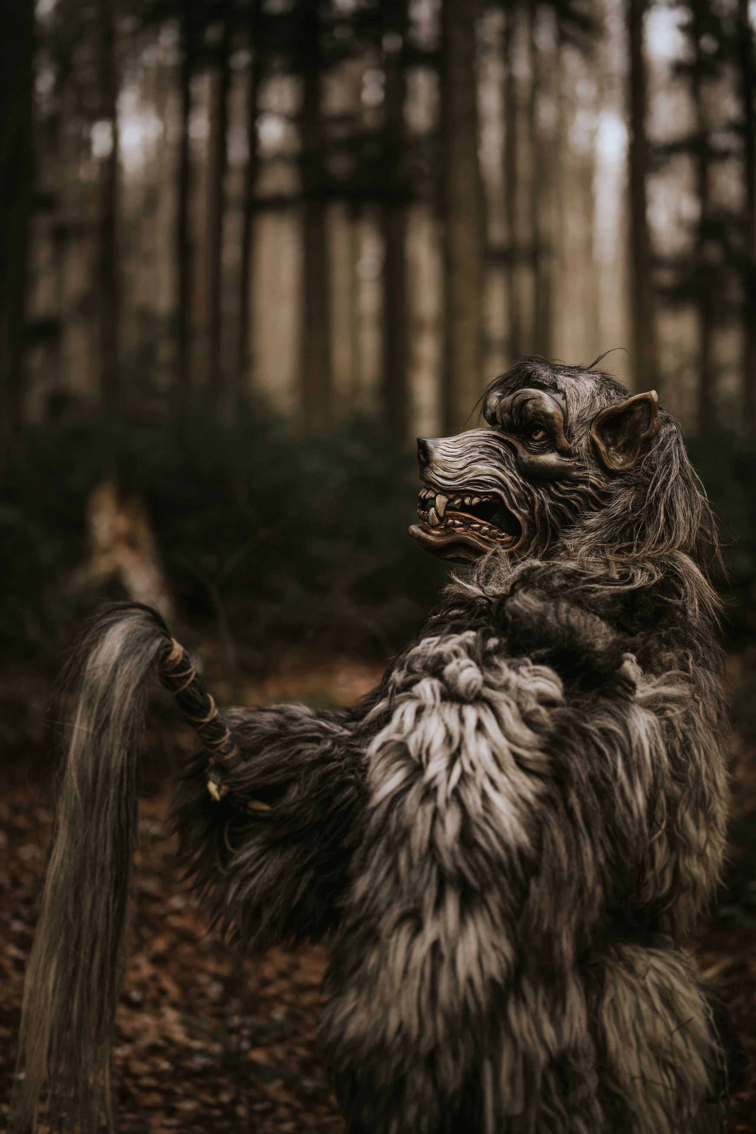 Duckhüttler Perchten