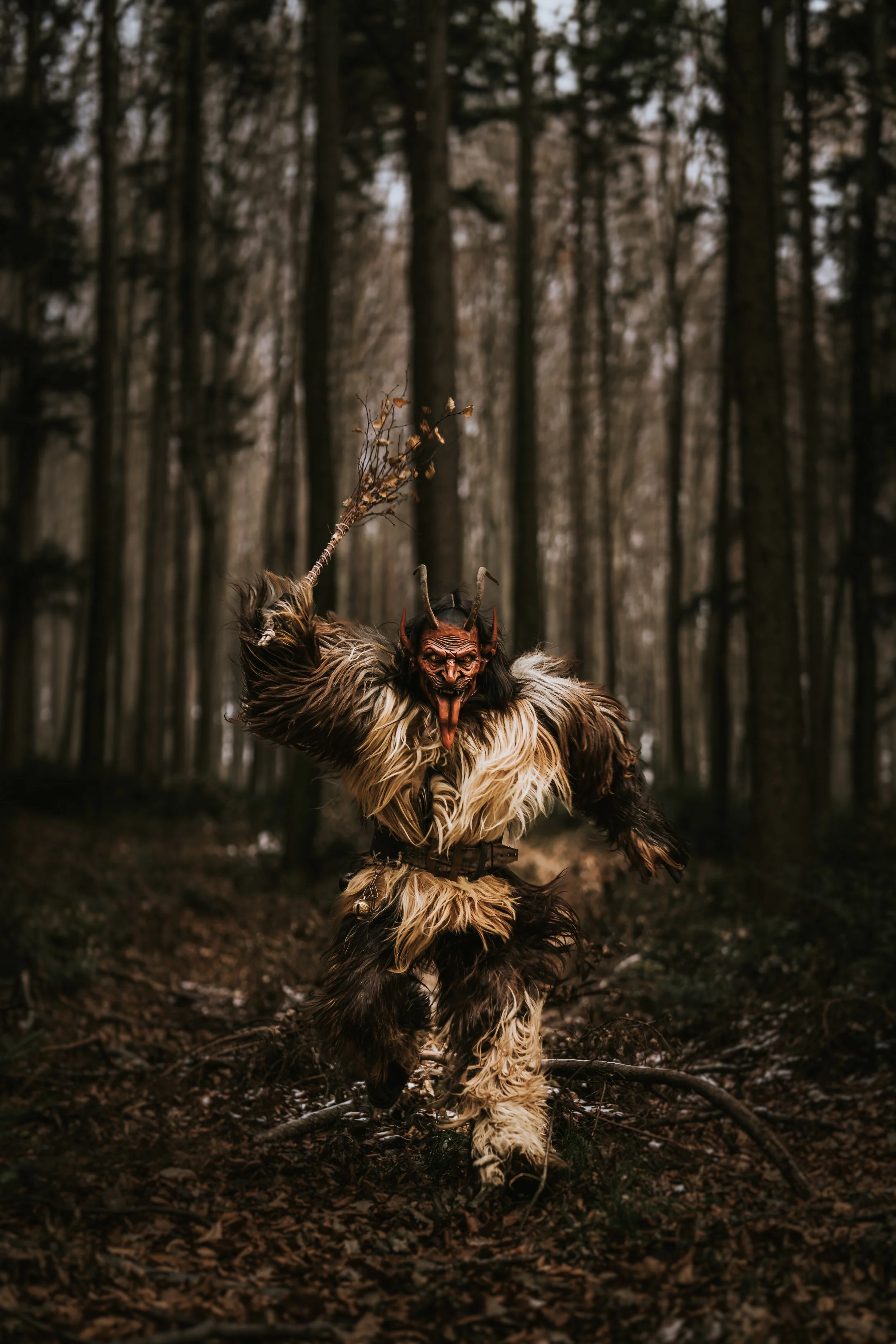 Perchten Niederösterreich