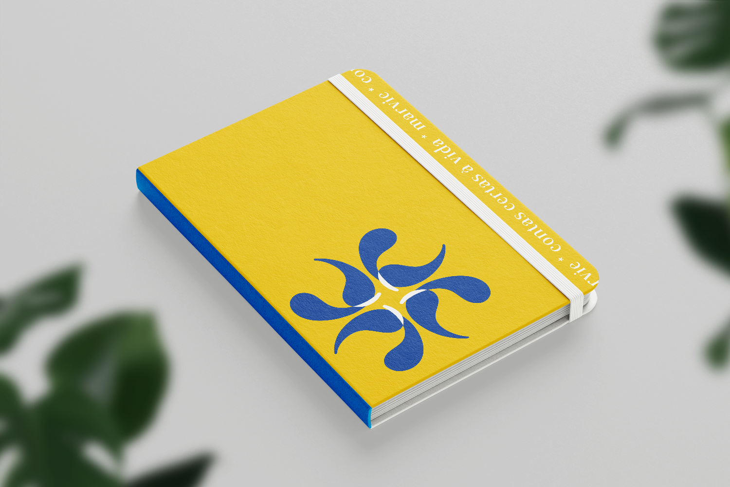 notebookmockup@0,3x.png
