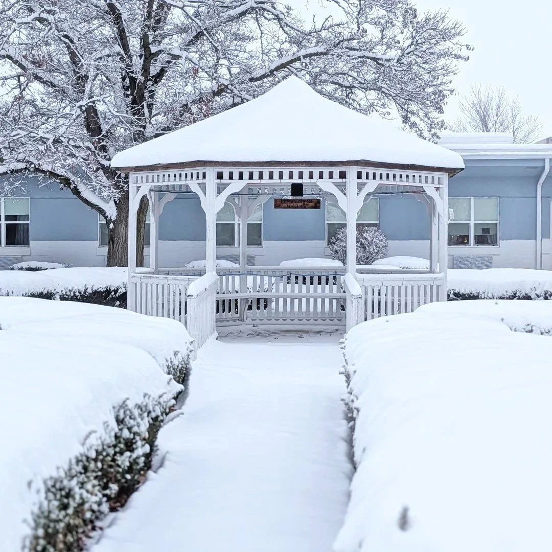 A snow-covered park gazebo with white railings and a snow-laden roof, surrounded by snow-covered bushes and trees in winter.