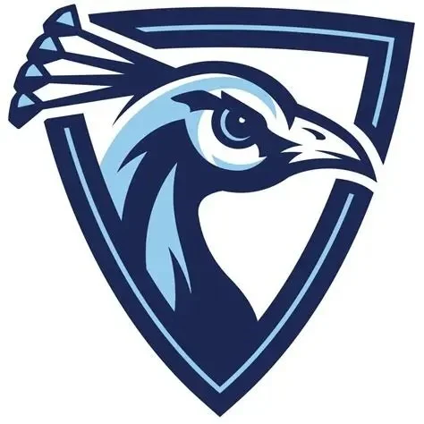 Upper Iowa University