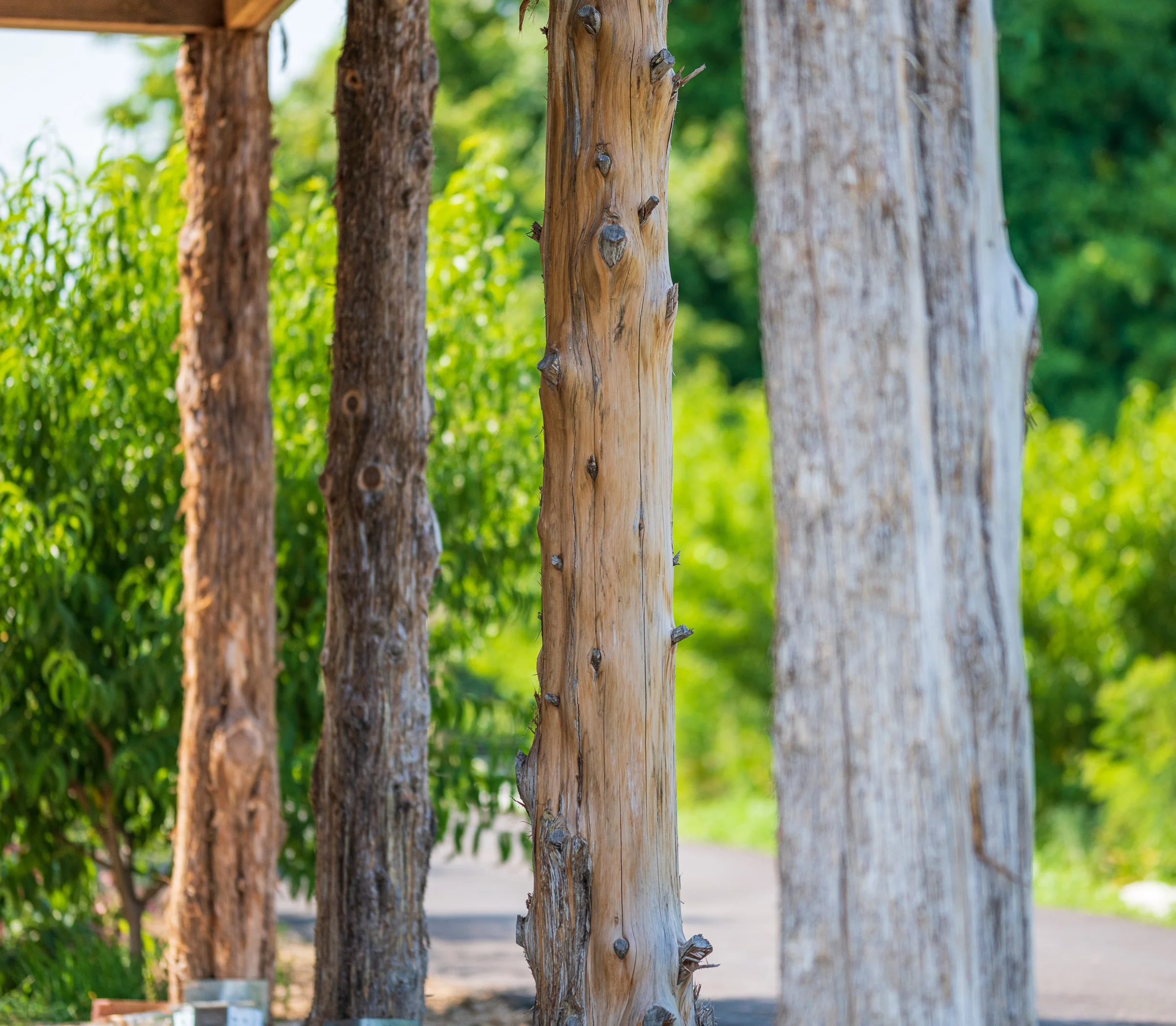 CONFLUENCE FARMS detailed wood at sed.jpg