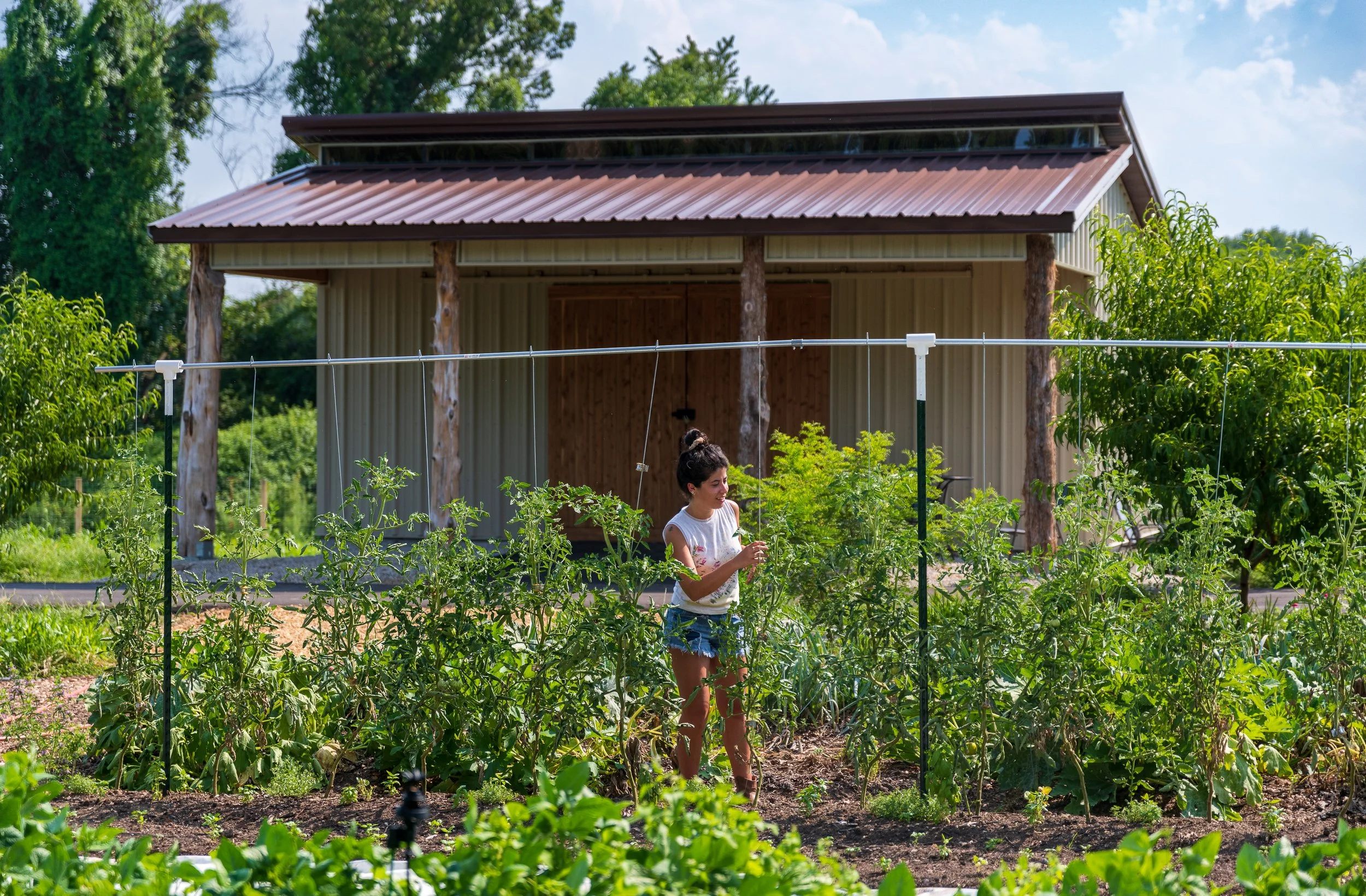 CONFLUENCE FARMS shed-11.jpg