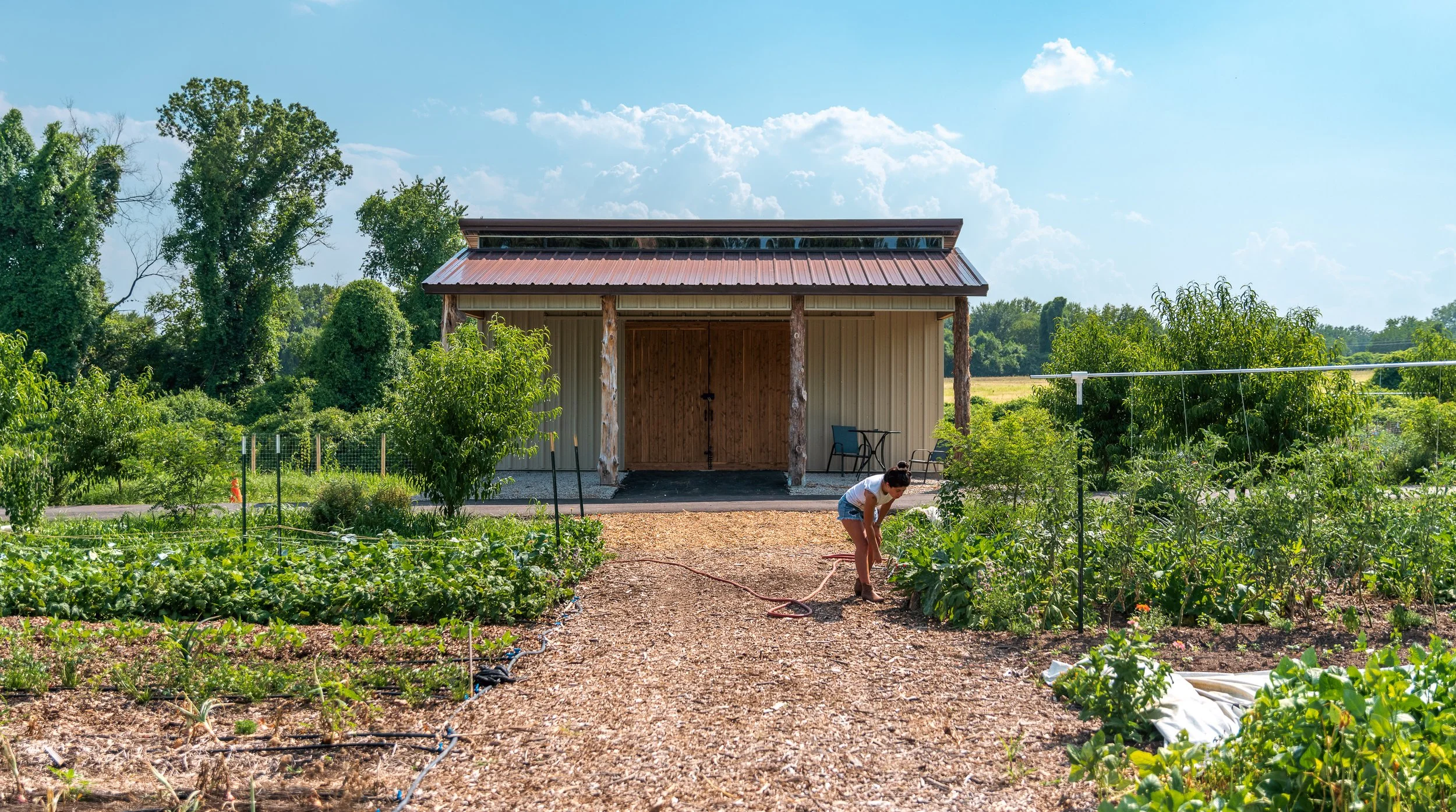 CONFLUENCE FARMS shed-9.jpg