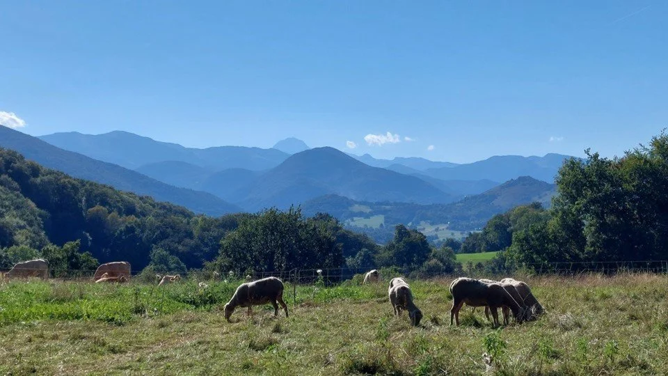 SACRED, SECRET PYRENEES / I recently discovered a place which soothes the soul in these troubled times, a remote village where the church is unlocked and the bijou museum opens its doors at the touch of a button to reveal its treasures, a place with 